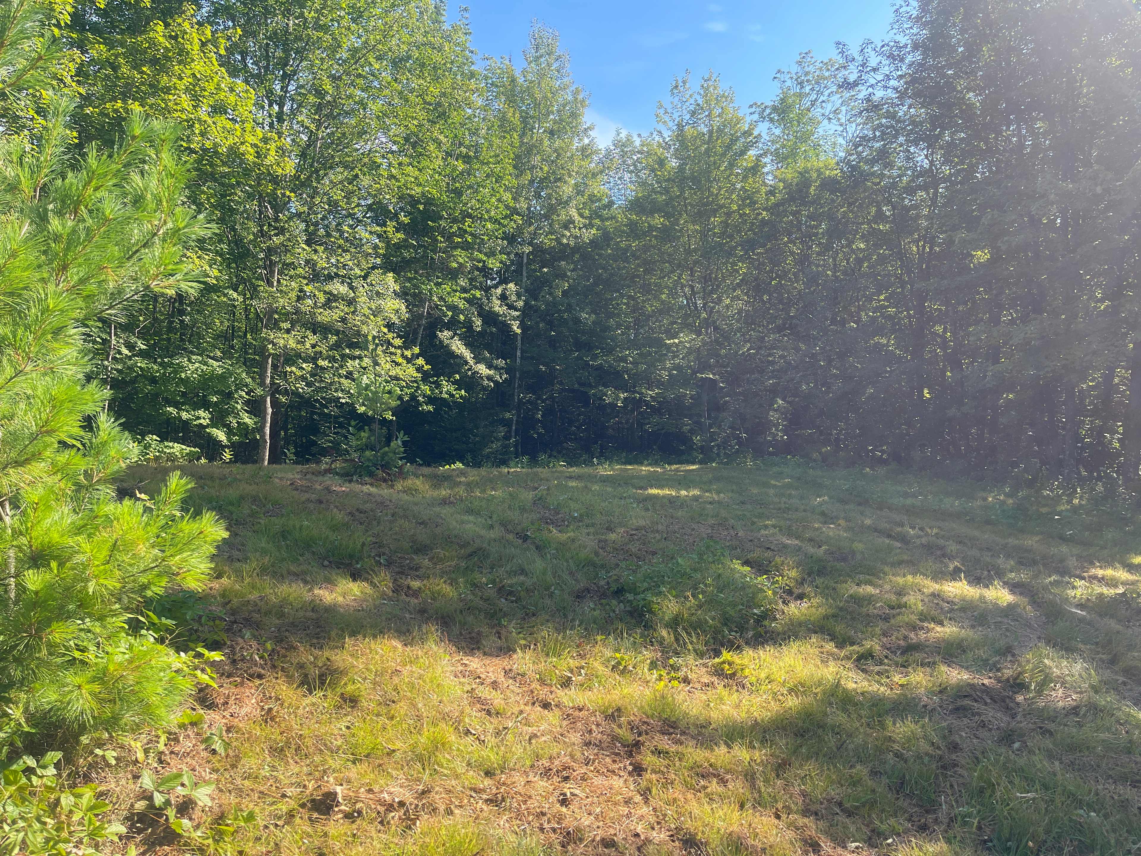 Site 2