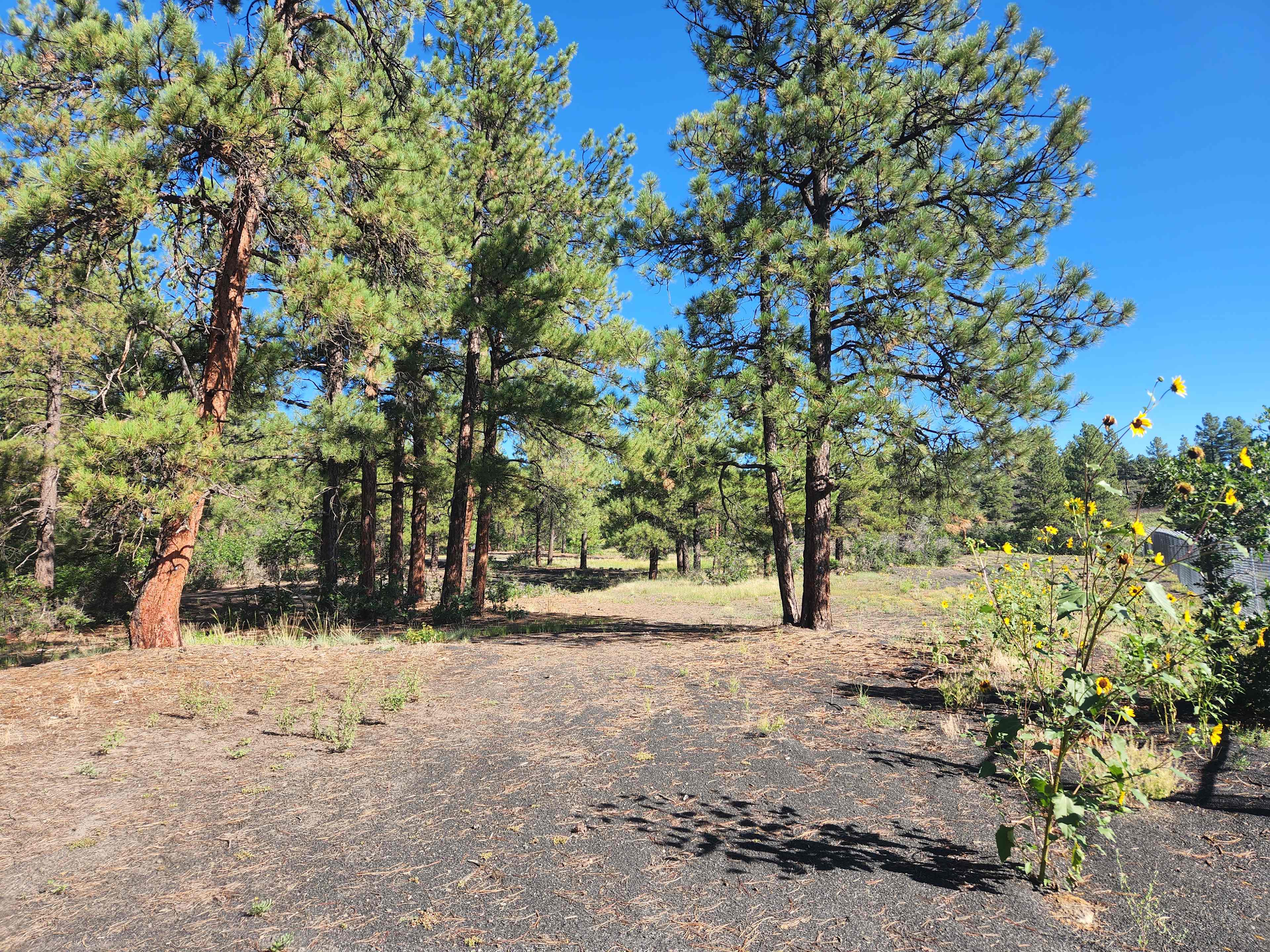 Path to the back 20 acres, directly next to the RV spots