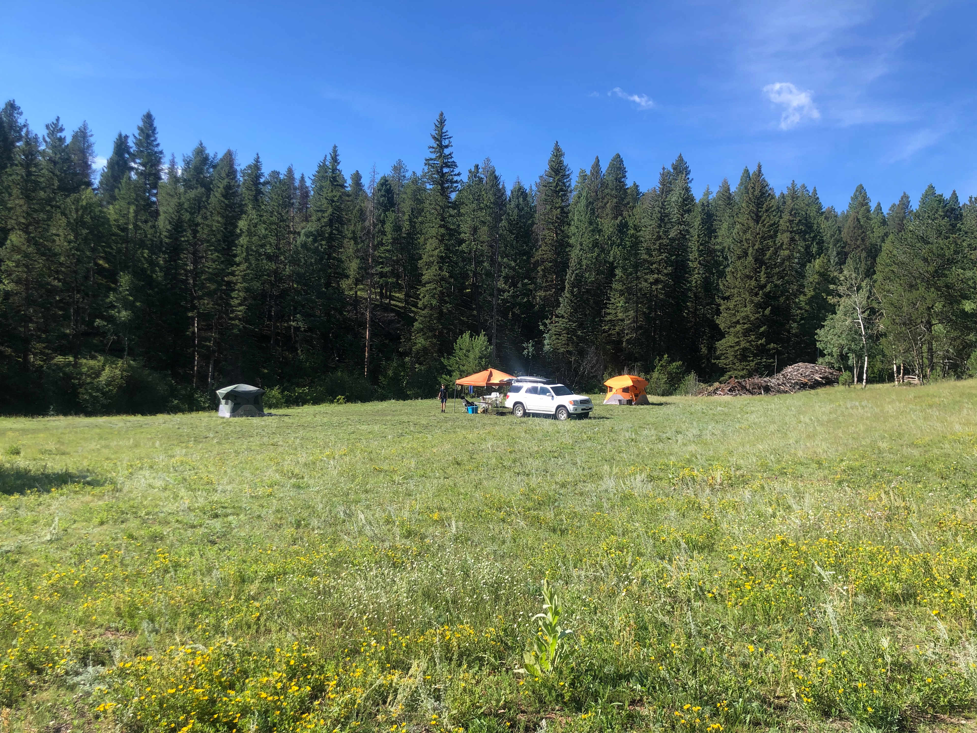 Picture of the site