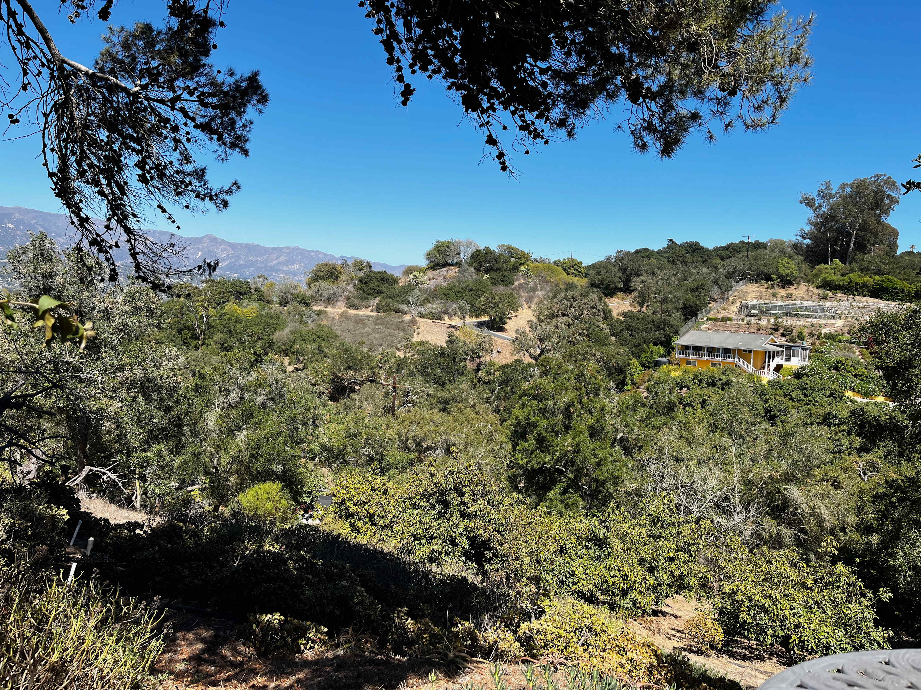 View from the Airstream