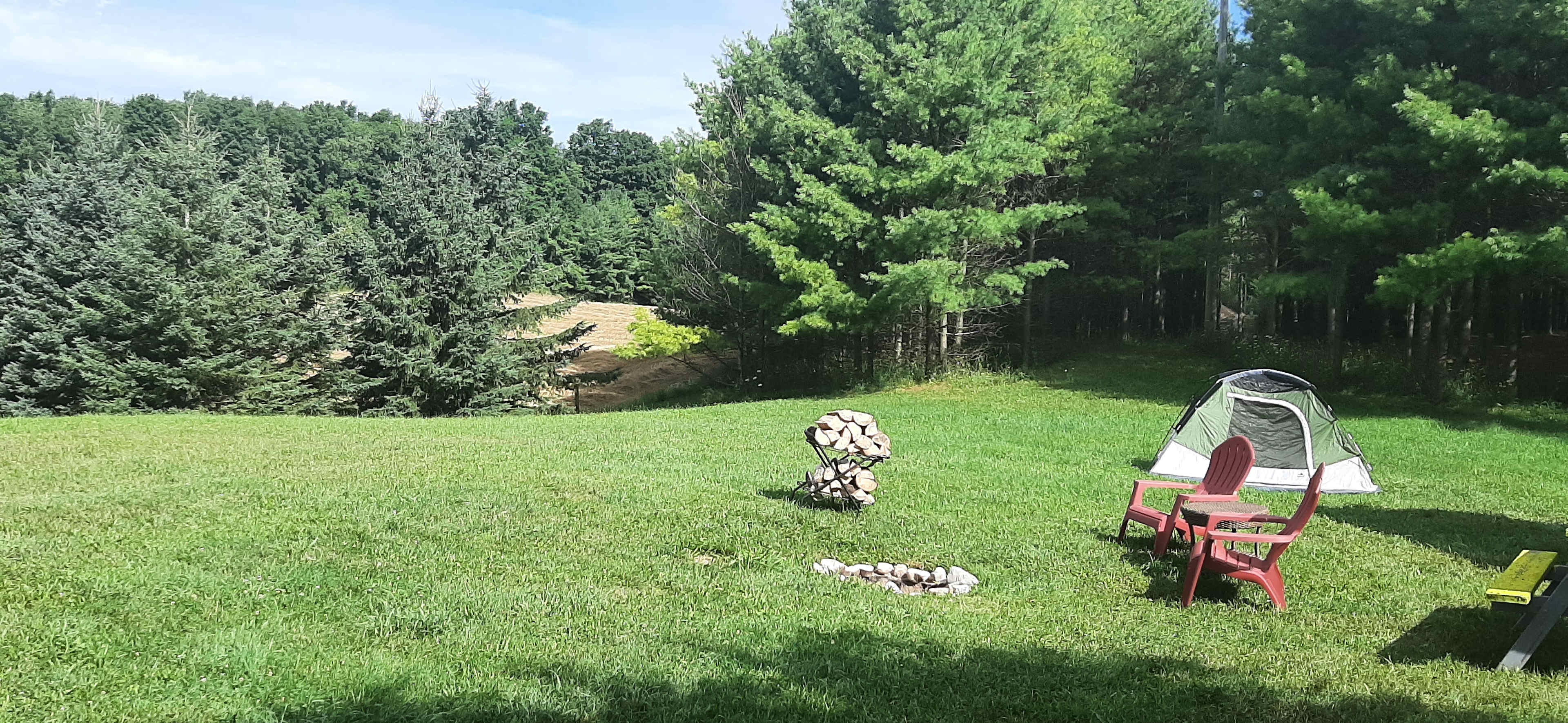 Picture of the site