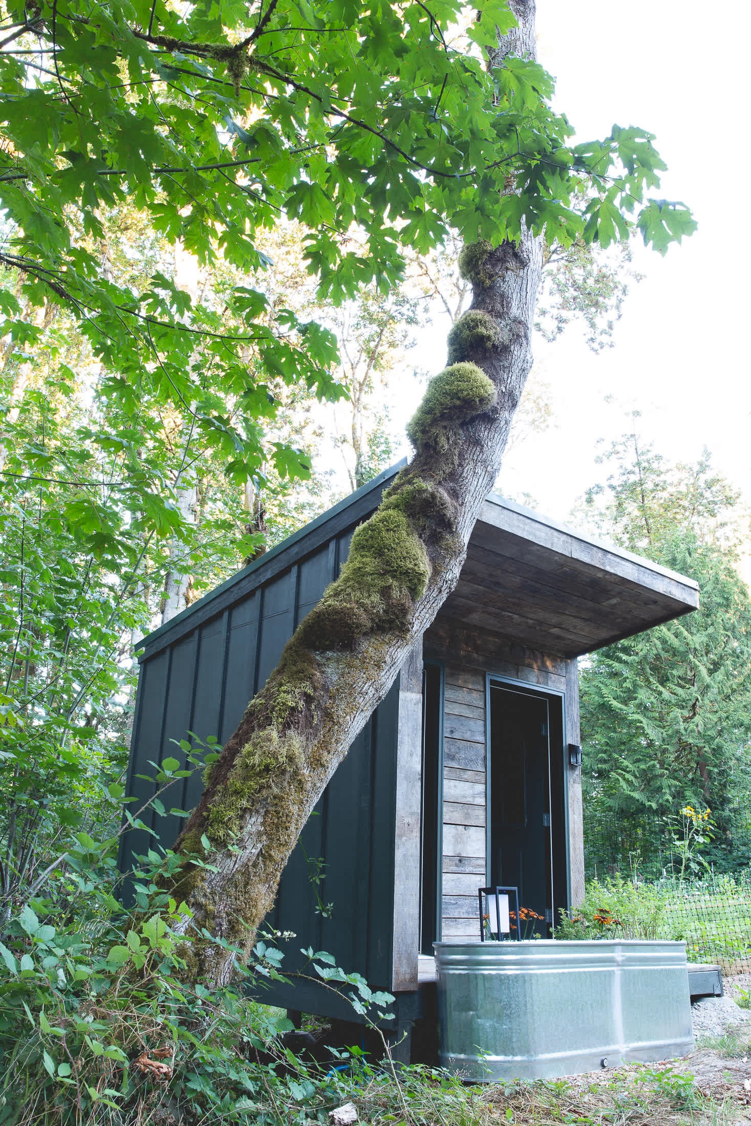 The outhouse is beautiful.