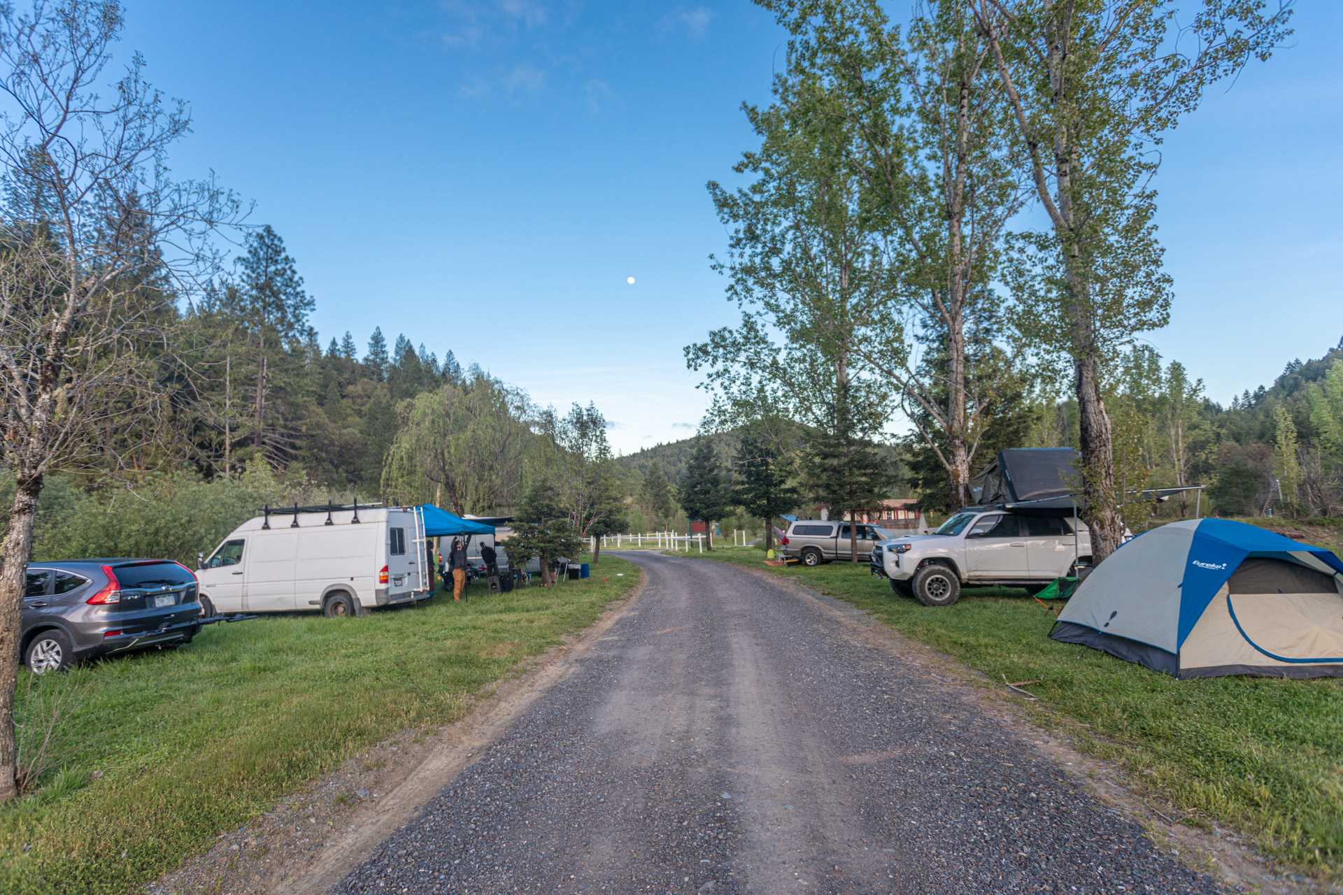 Picture of the site