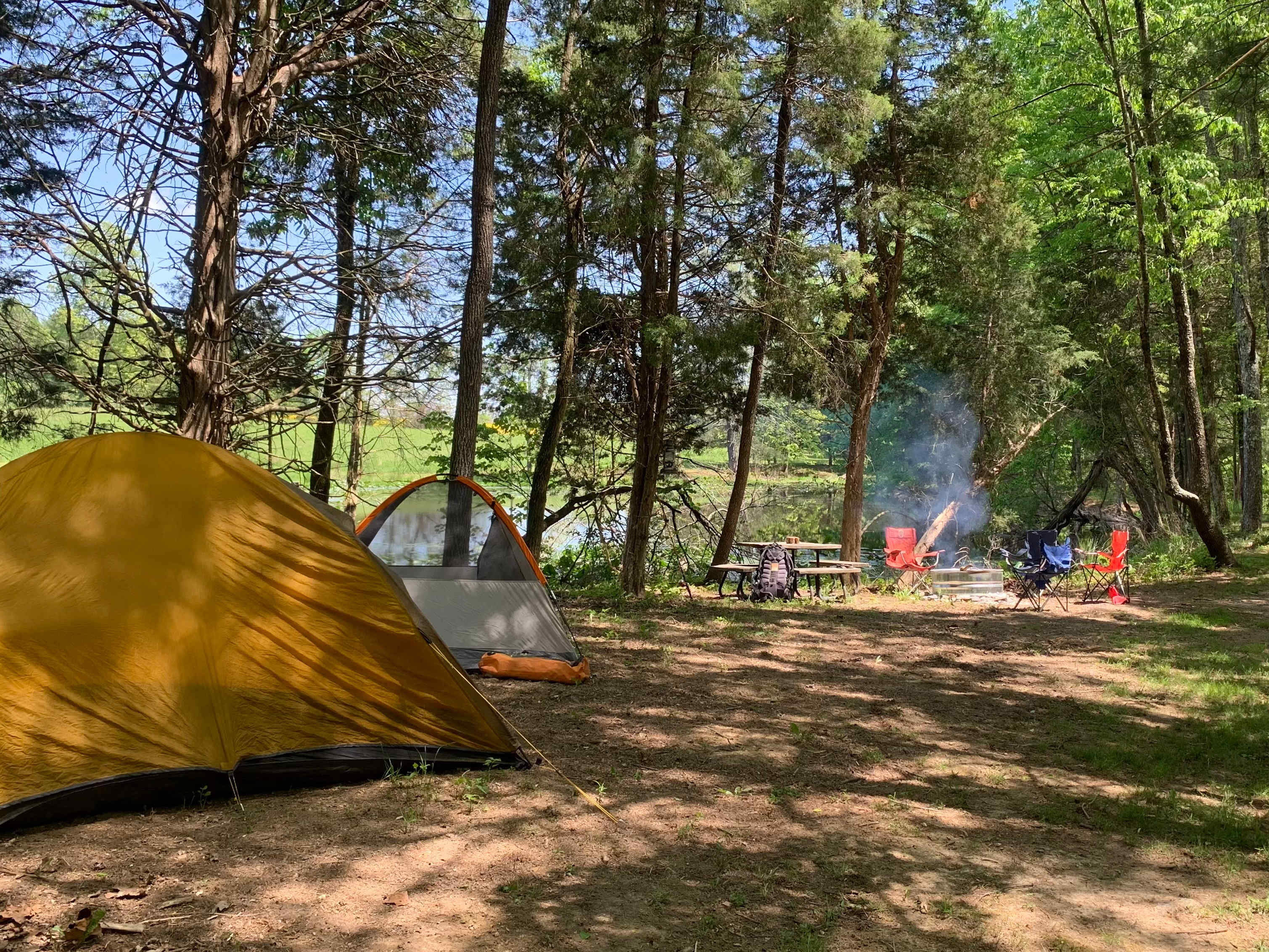 Picture of the site
