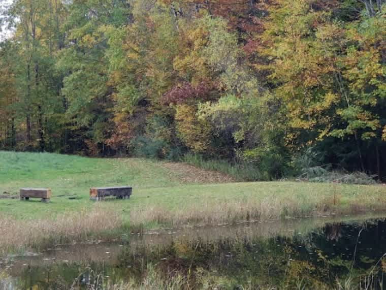Benches to sit and soak and laugh, and visit, your private playground 