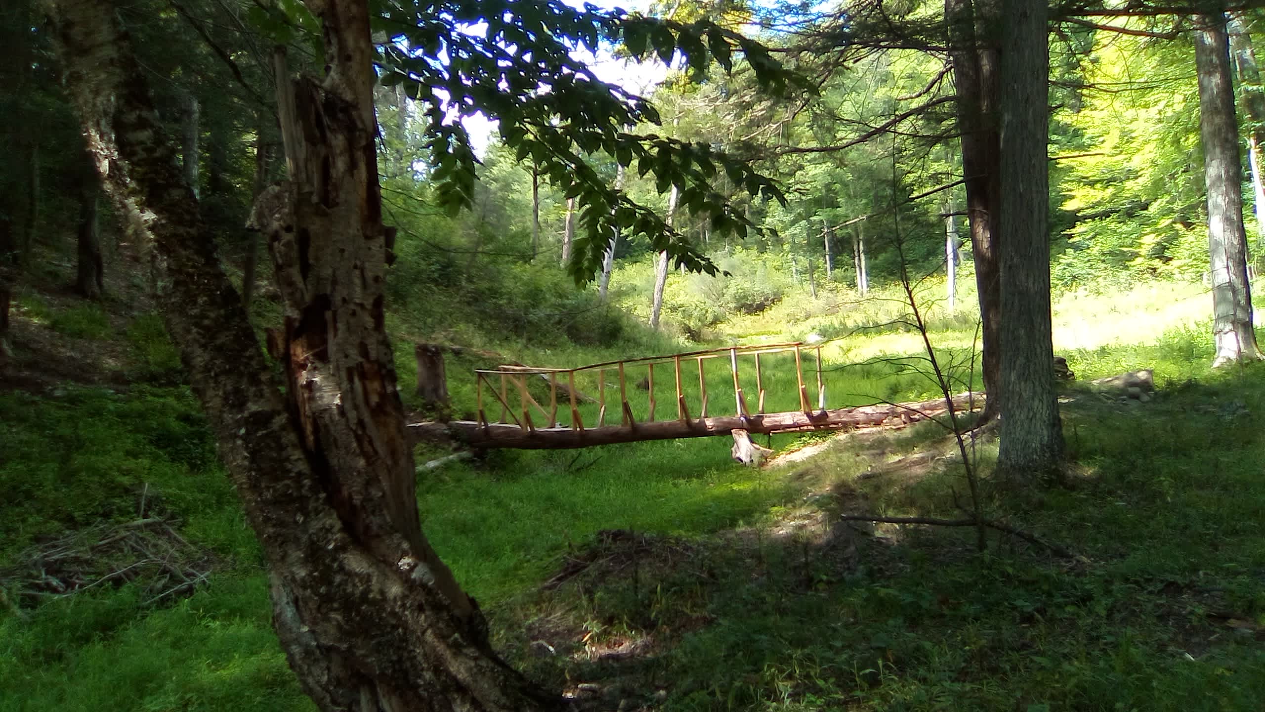 Stoney Goat Homestead