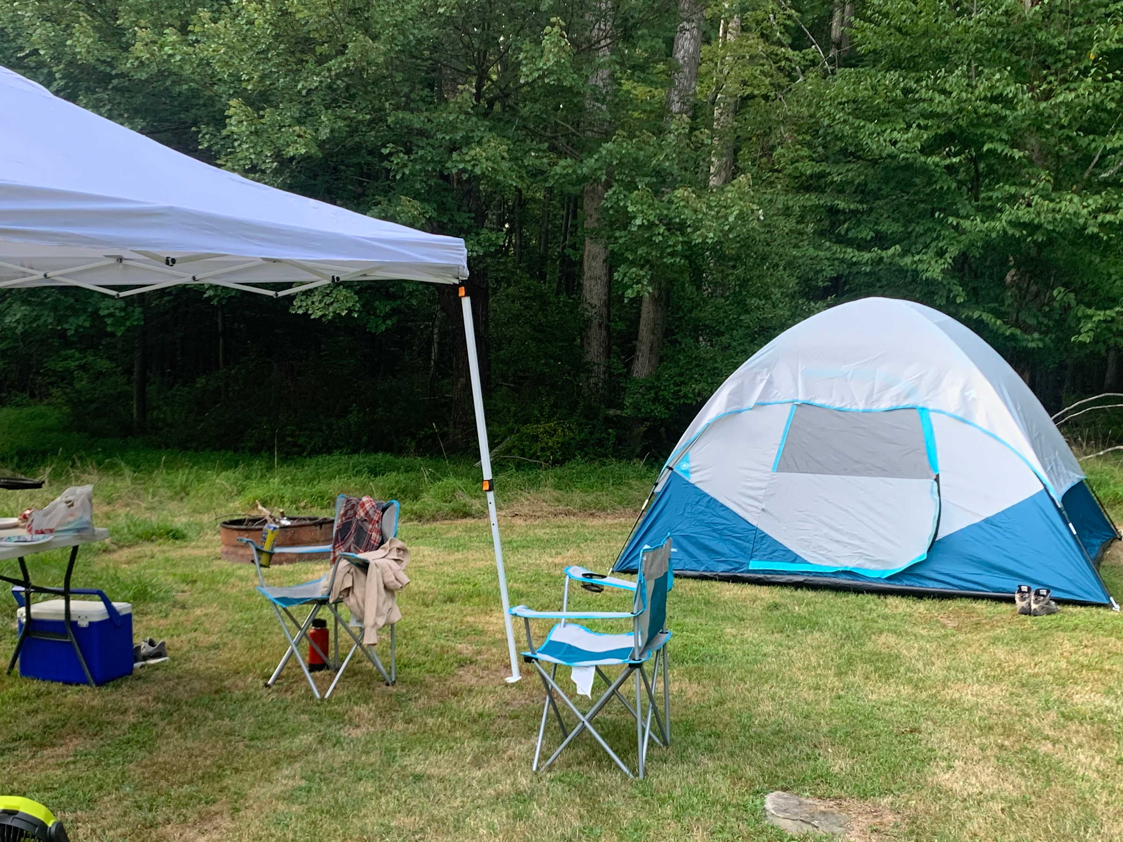 Forest or field camping