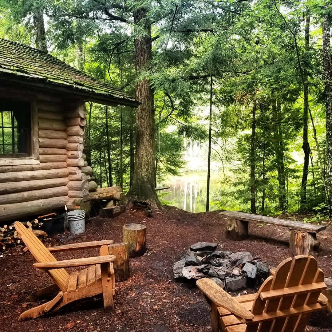 Bear Tree Homestead