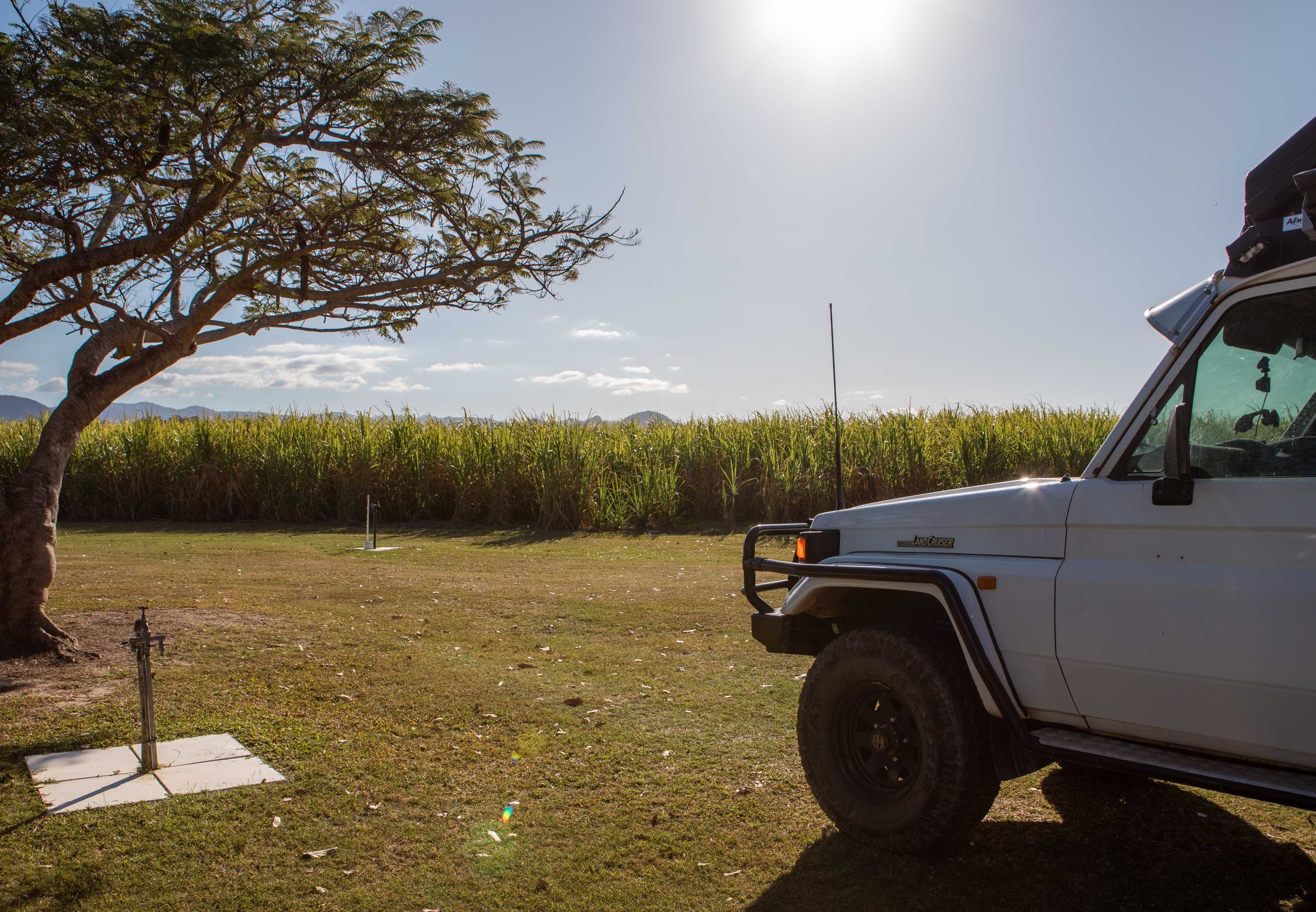 Oh Deere Farm Stay and Sugar Cane Farm