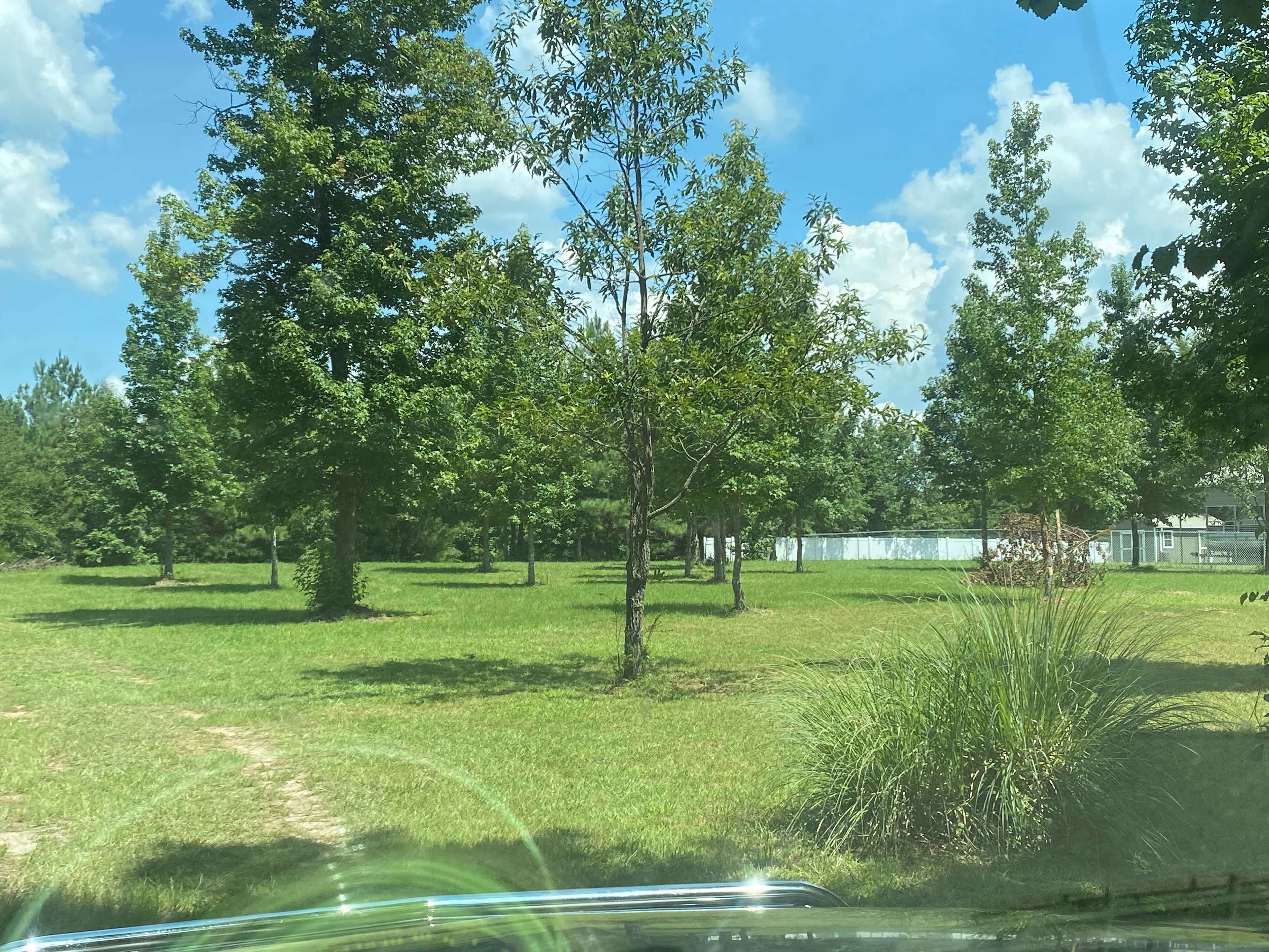 Syc Nature Park