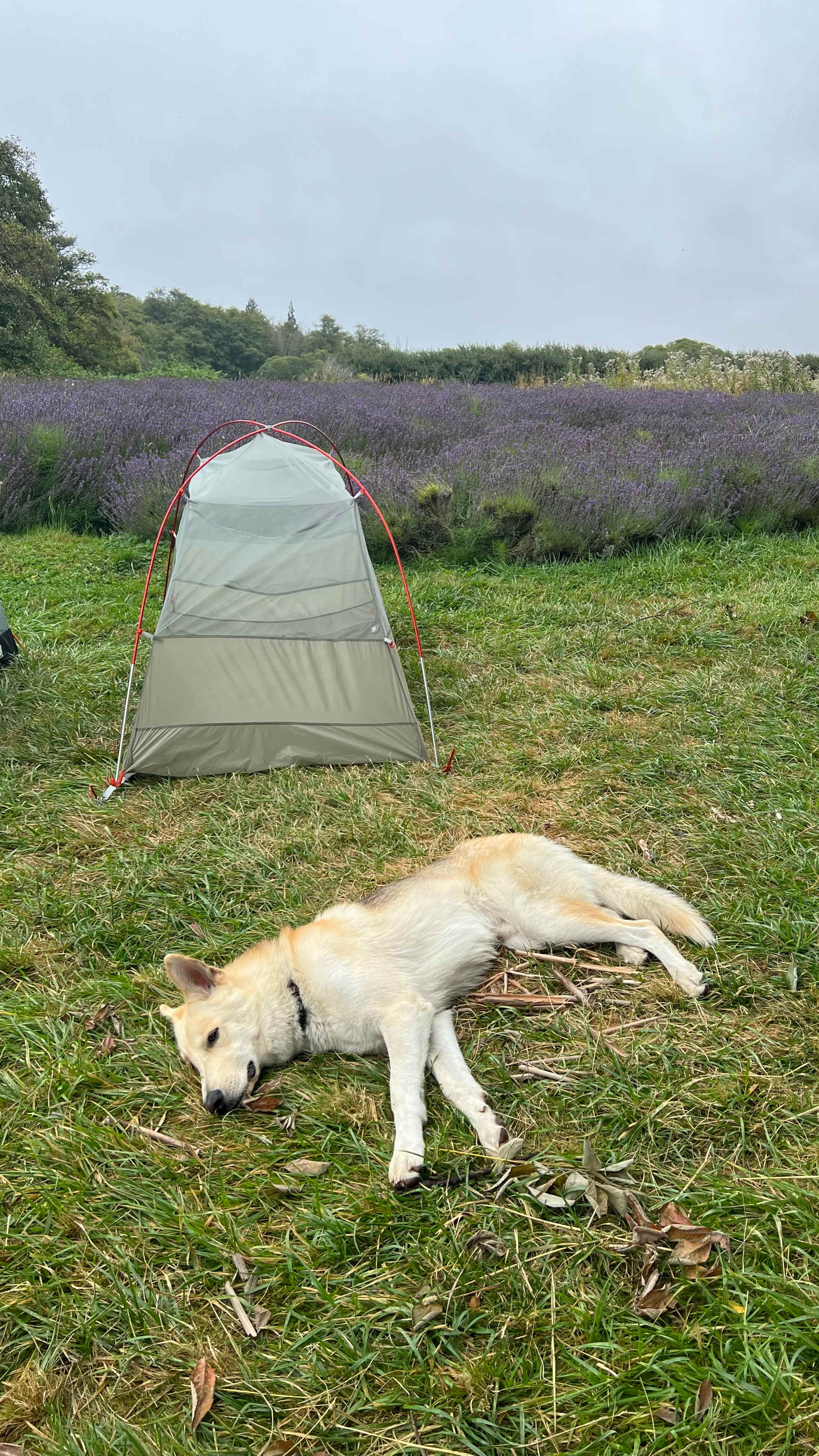 Relaxing at site 1!
