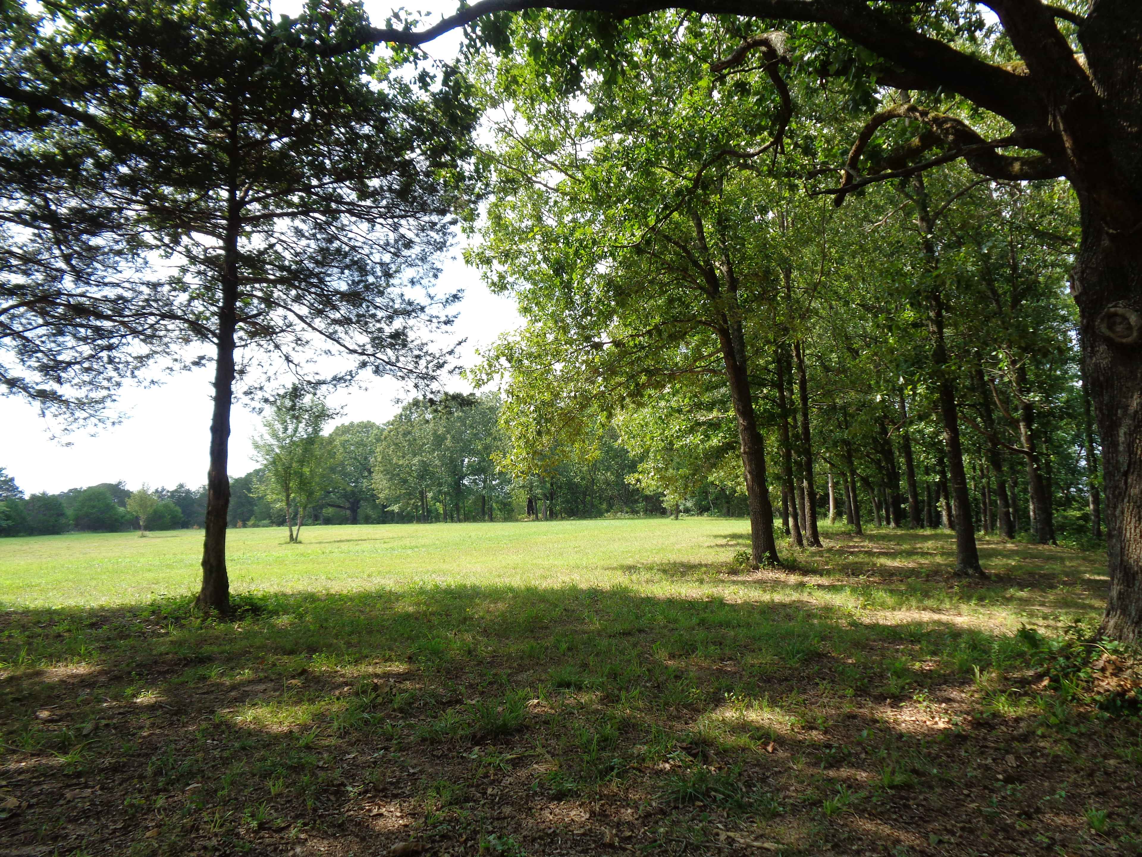 Woodhill Ridge, Salem Arkansas