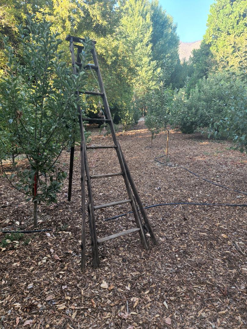 Oak Glen Glamping on Apple Orchard