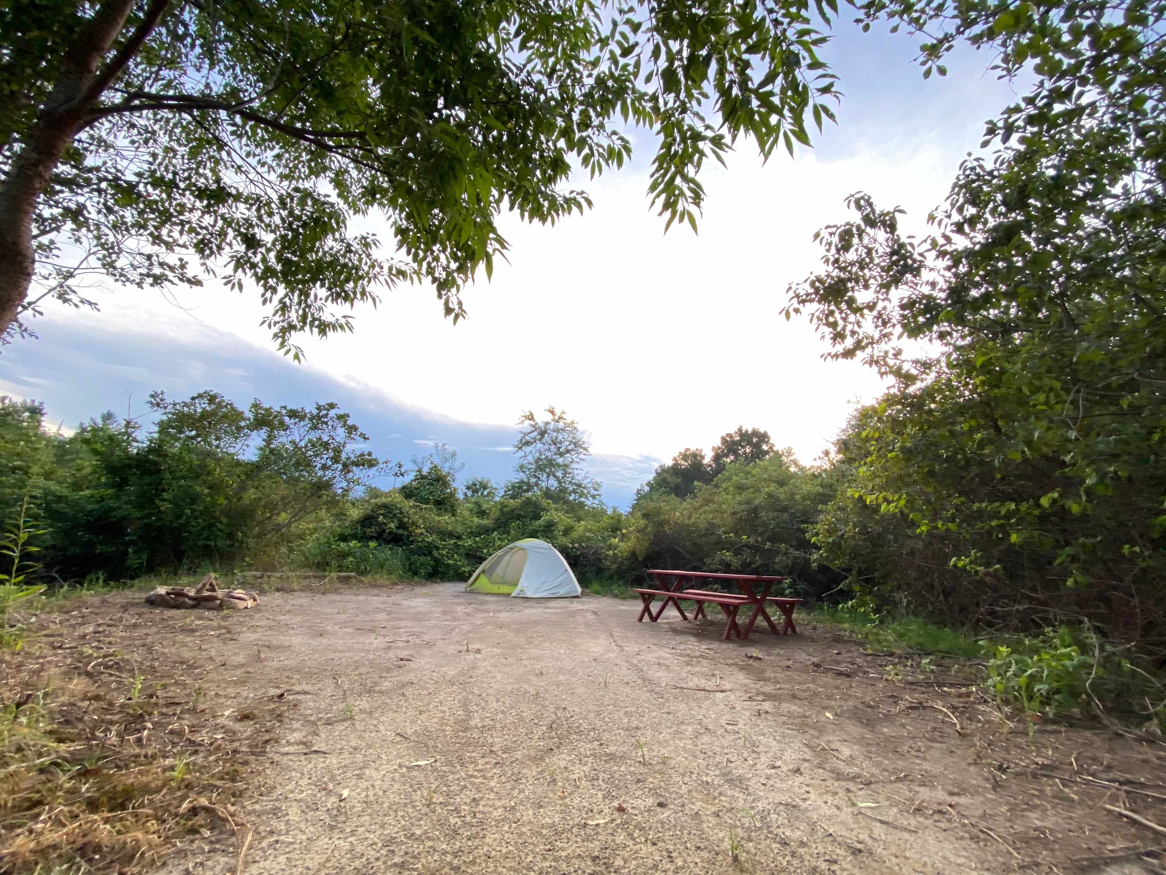 Picture of the site