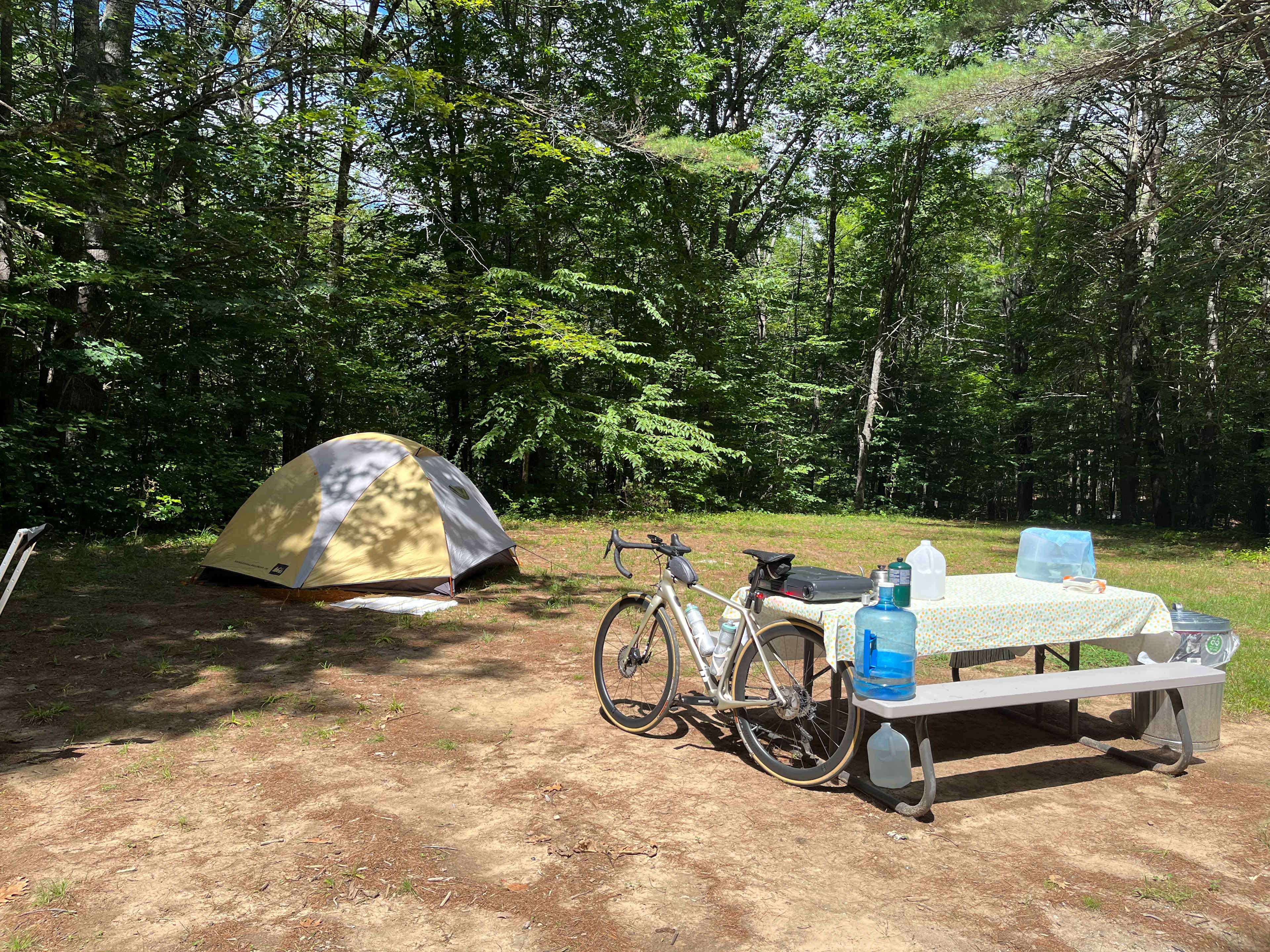 Picture of the site