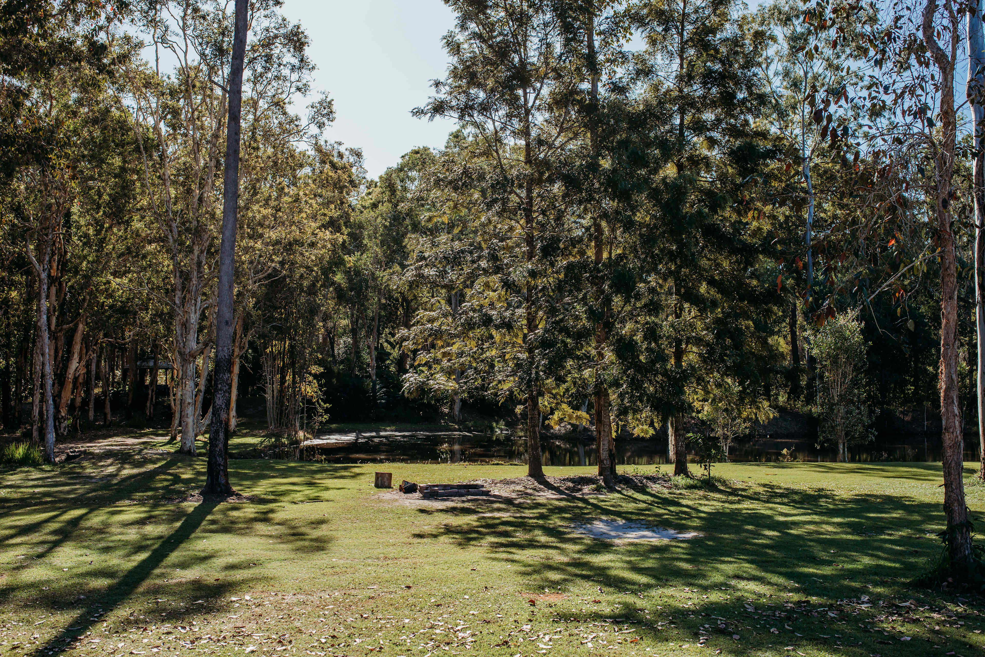 Collie Farm