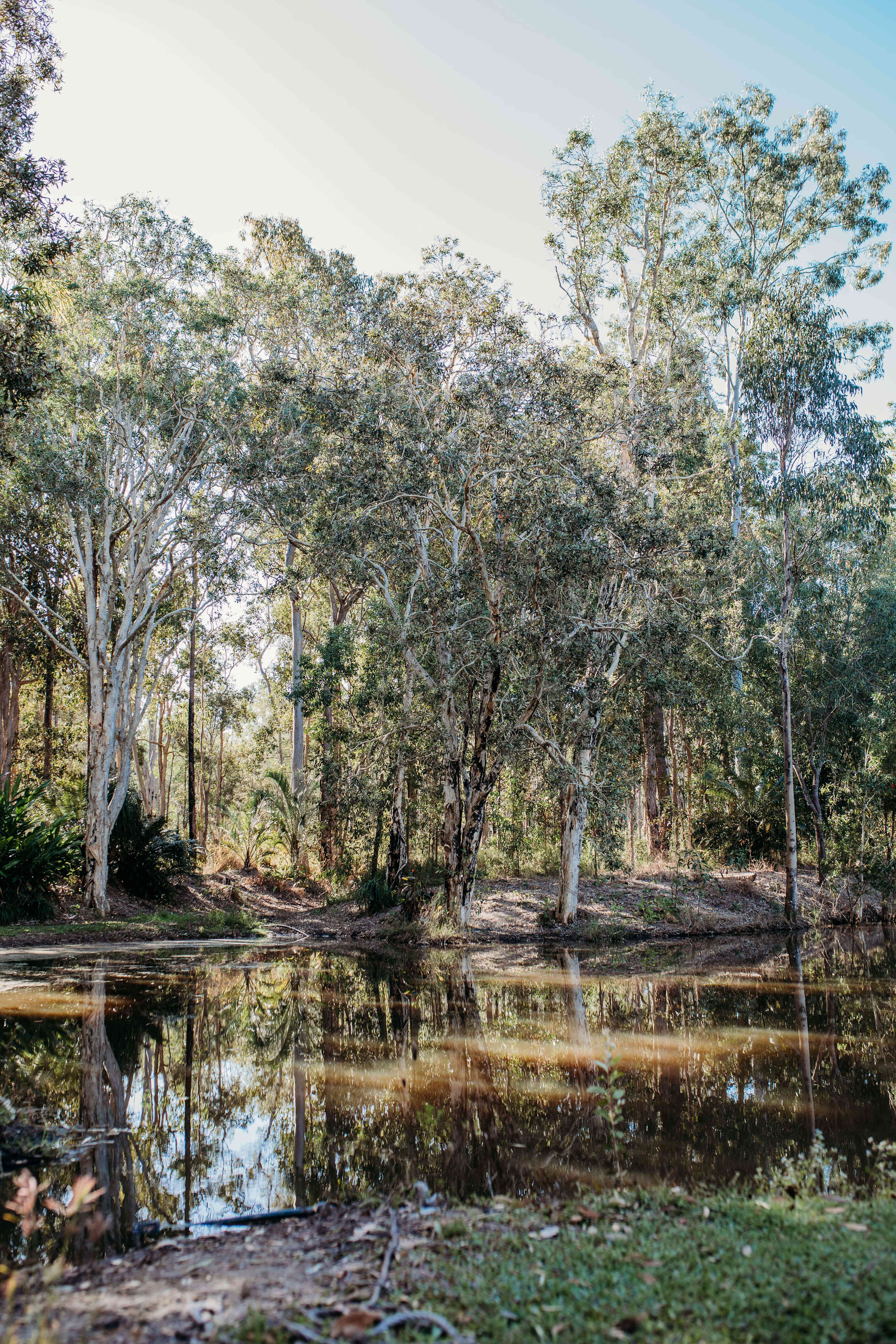 Collie Farm