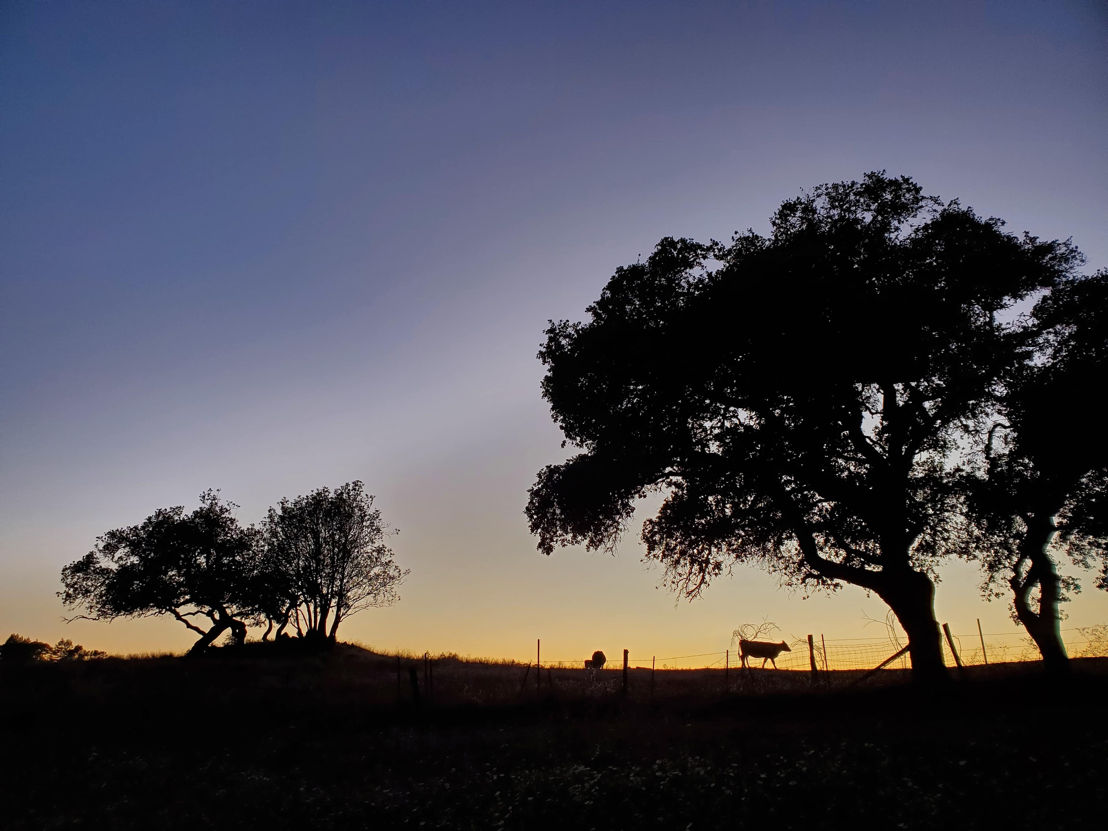 Rancho Laslendini