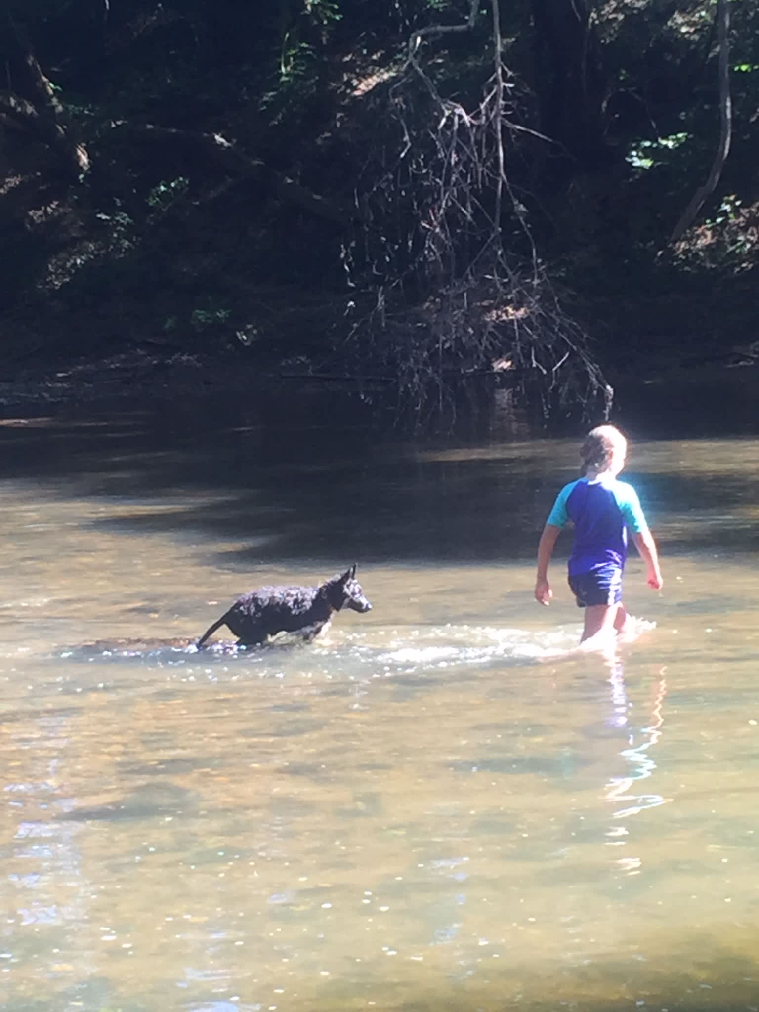 Down by the River