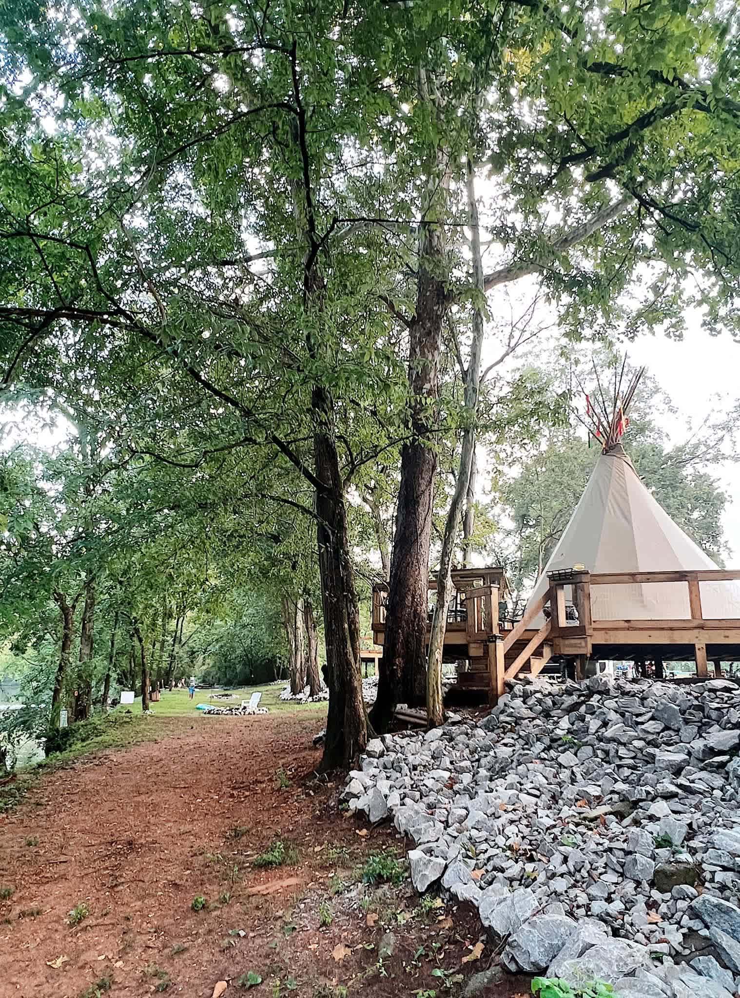 Picture of the site