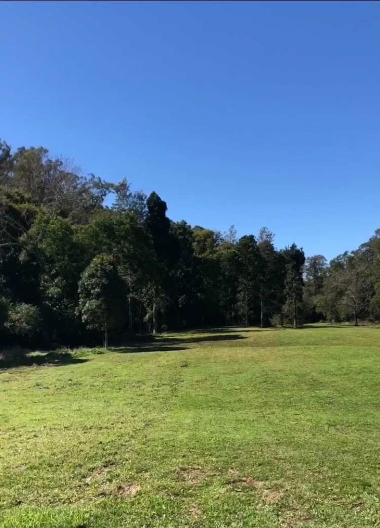 24 August 22
Making more and more improvements, the  
edges of the lawns are getting wider and more tame every time I mow 