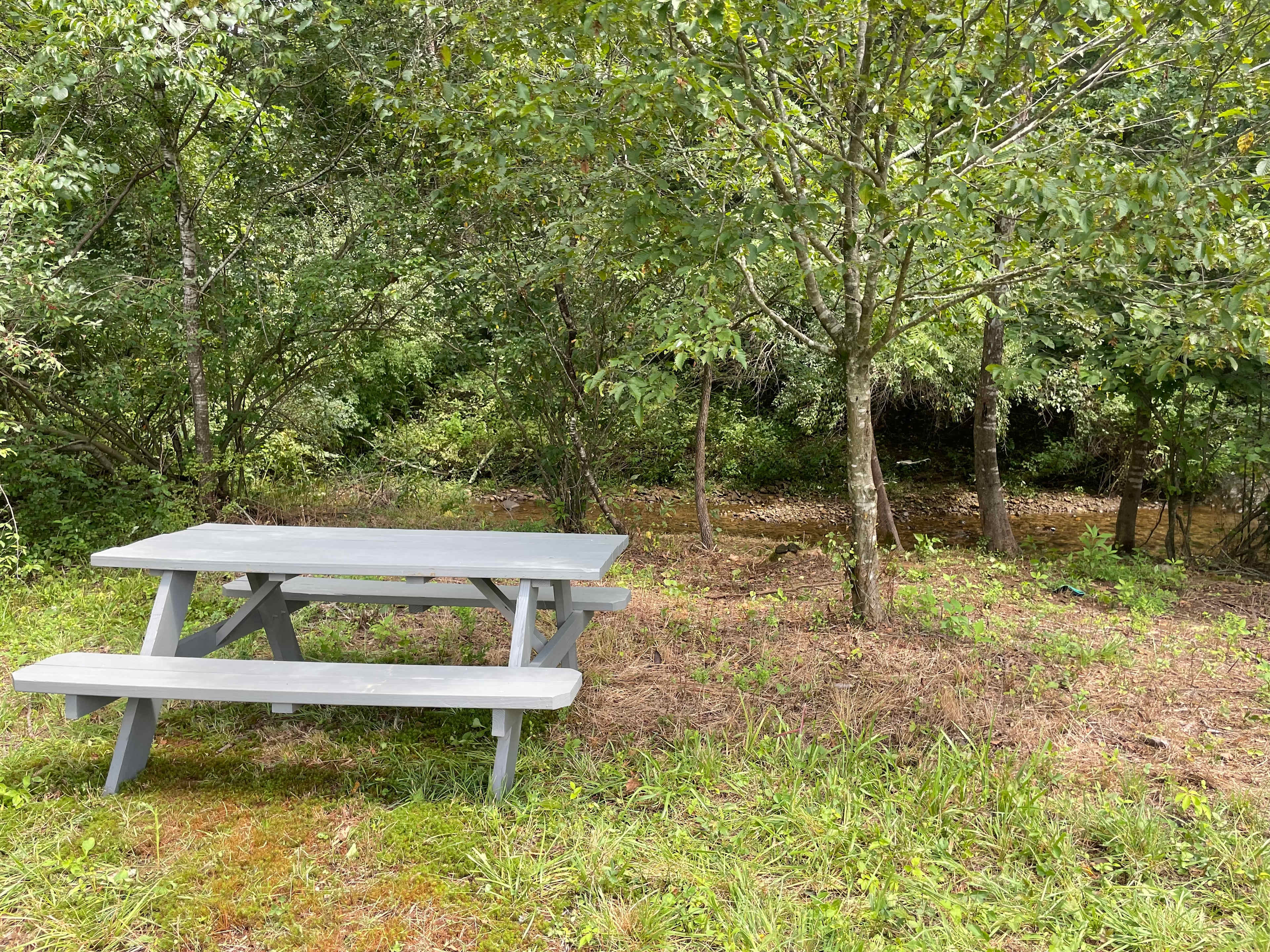 Picnic Table at Creek