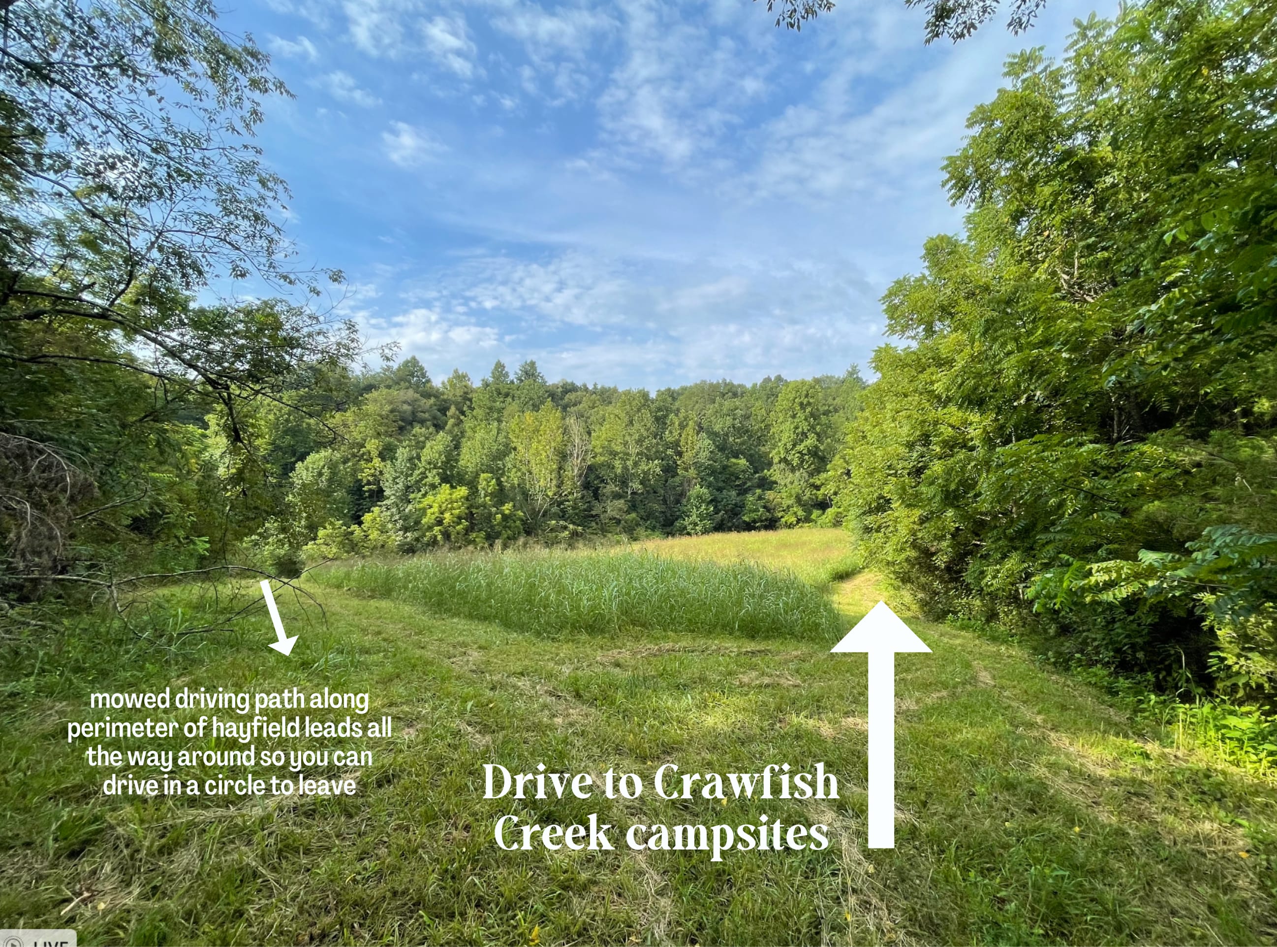 Picture of the site
