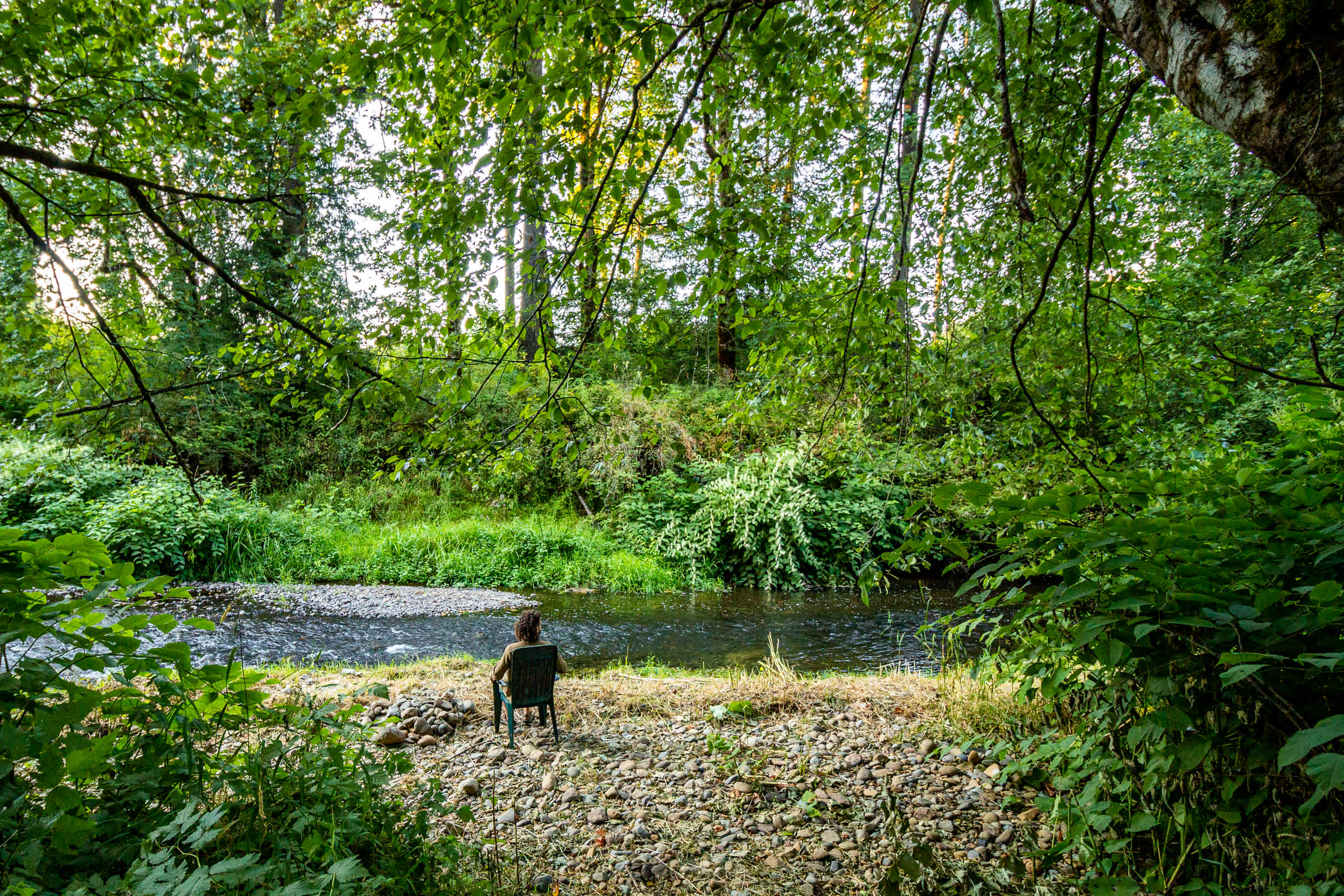 Isla Springs