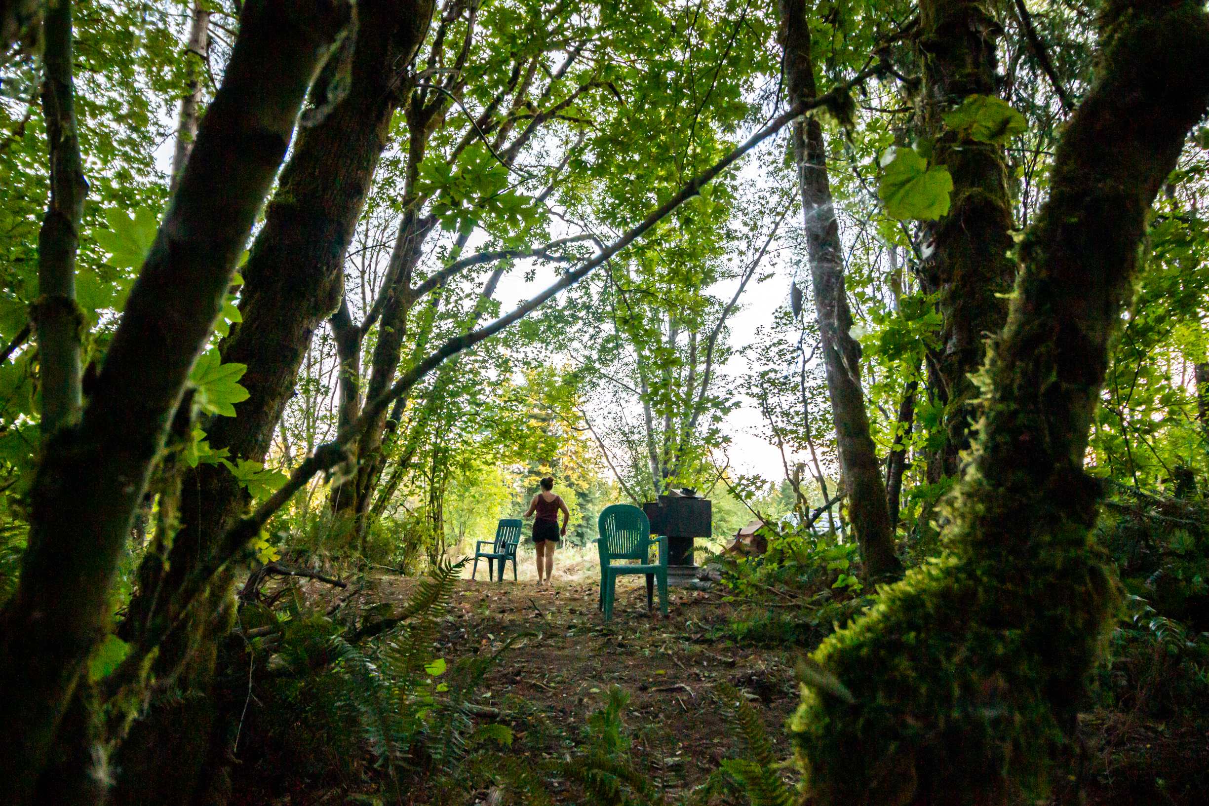 Isla Springs