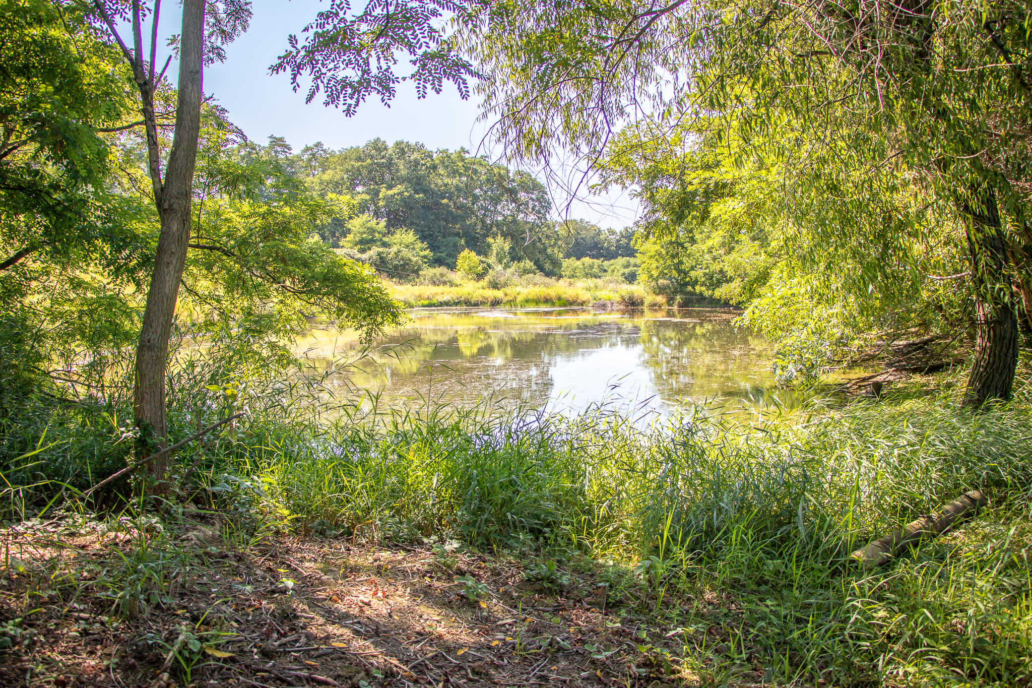 View of the pond, another area you can set up camp