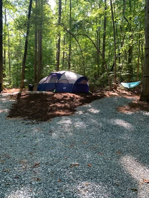 Site 1 with hammock