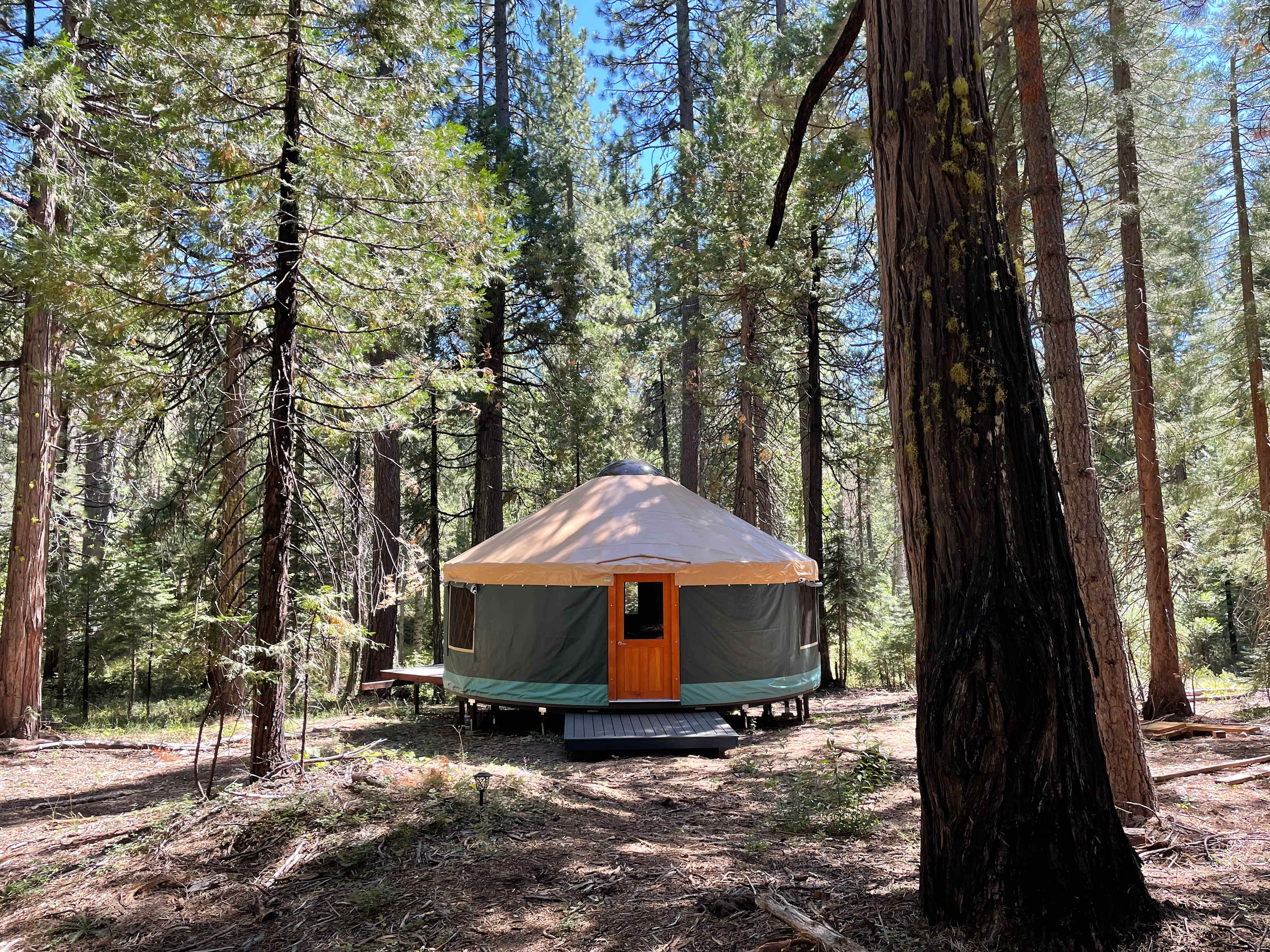 Summer time at the yurt!