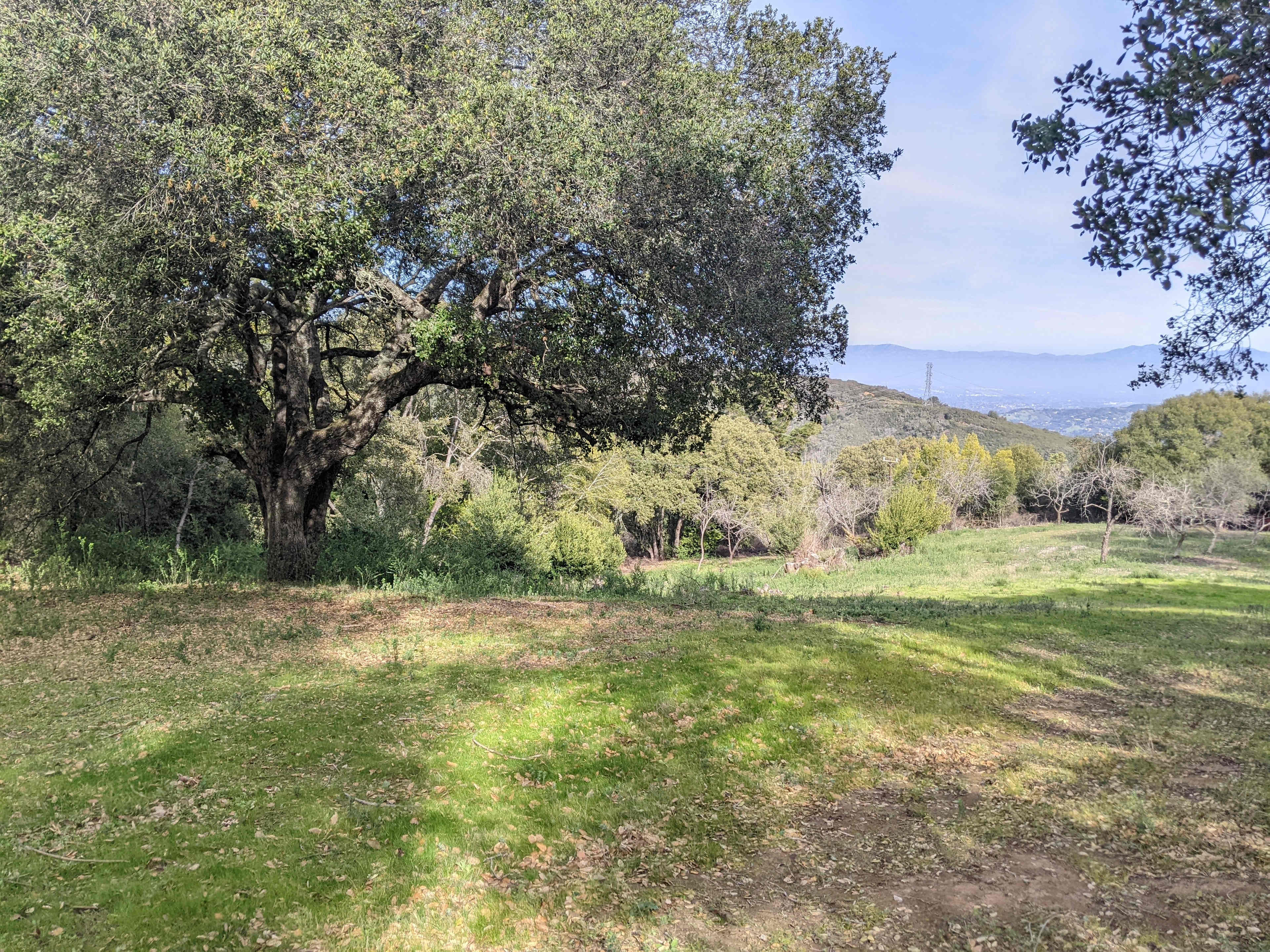 Camp Jaron