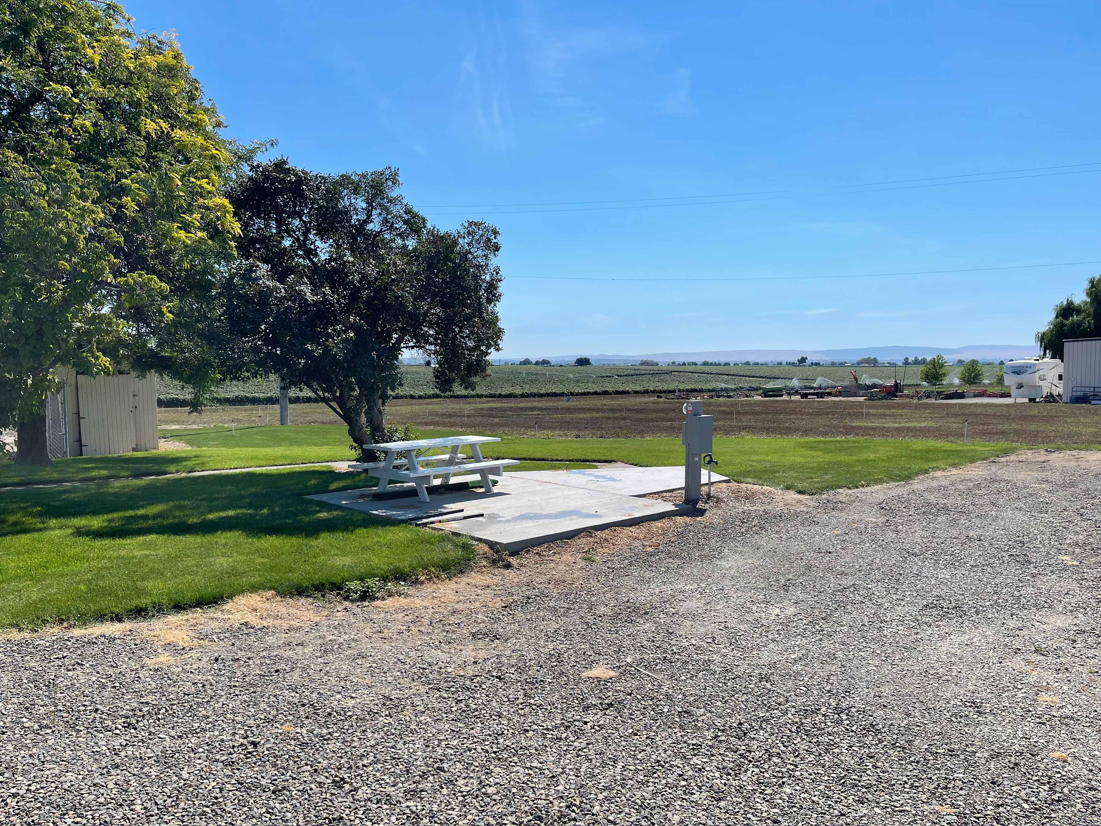 Picture of the site