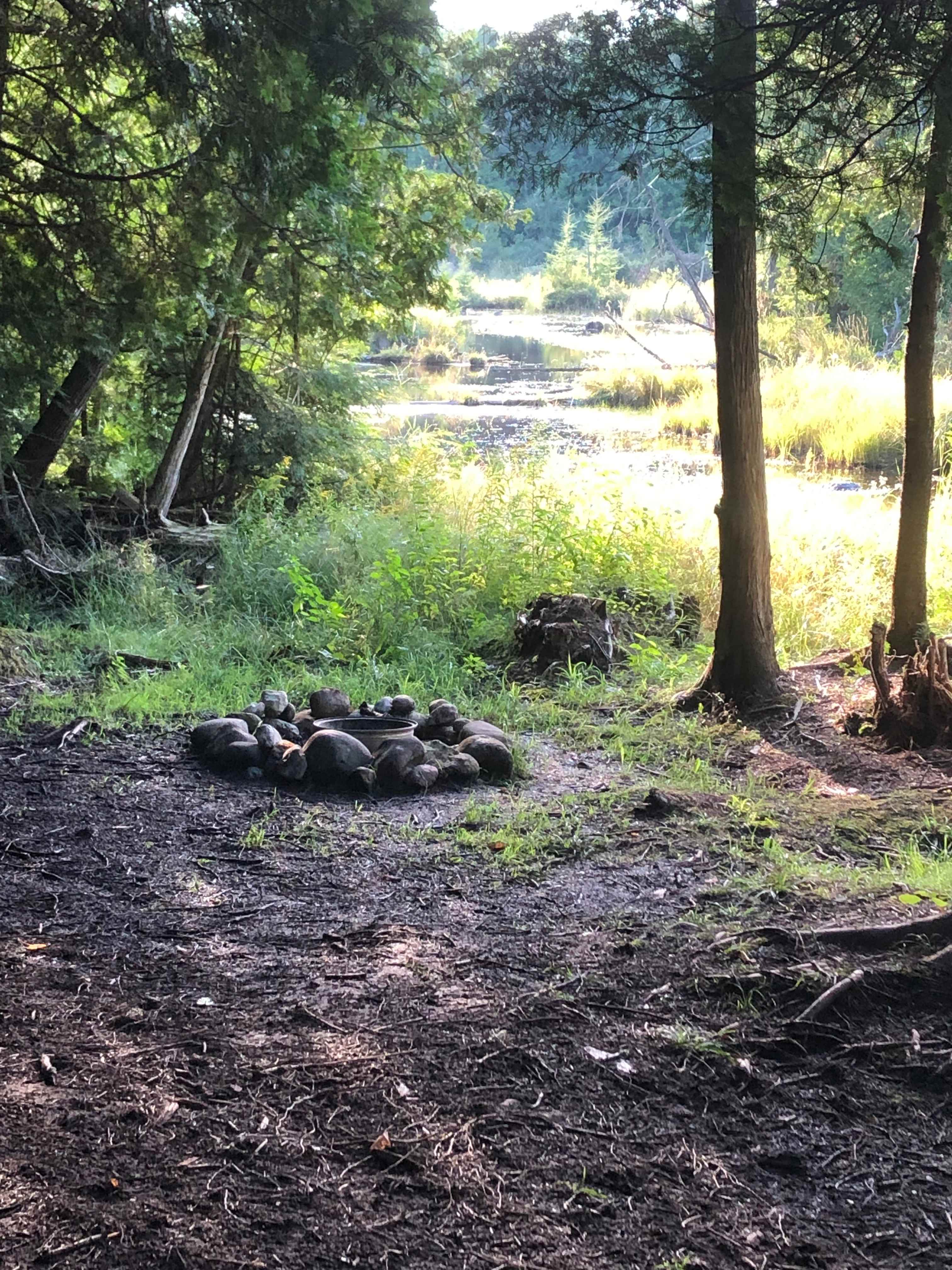 Picture of the site