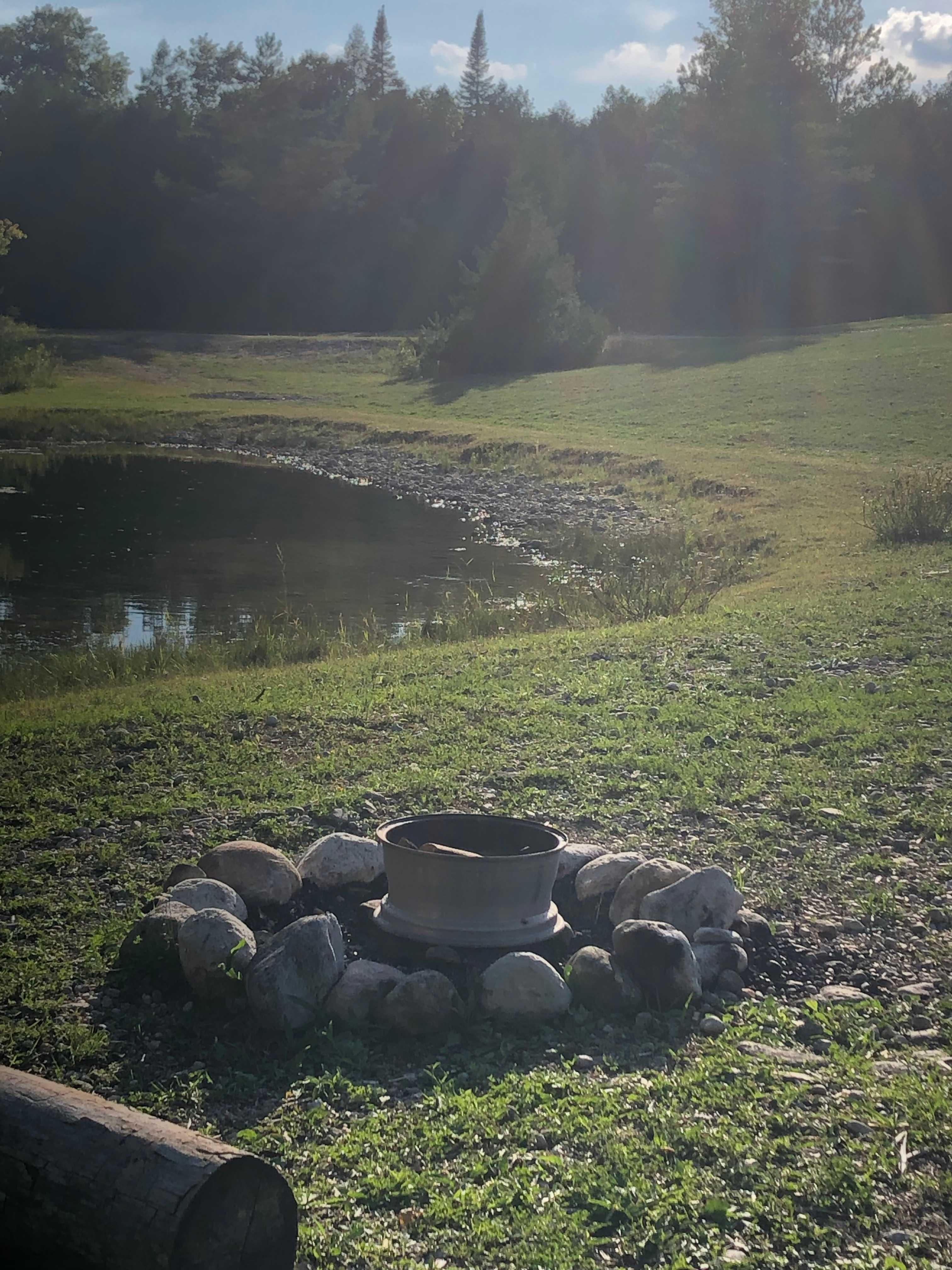 Picture of the site
