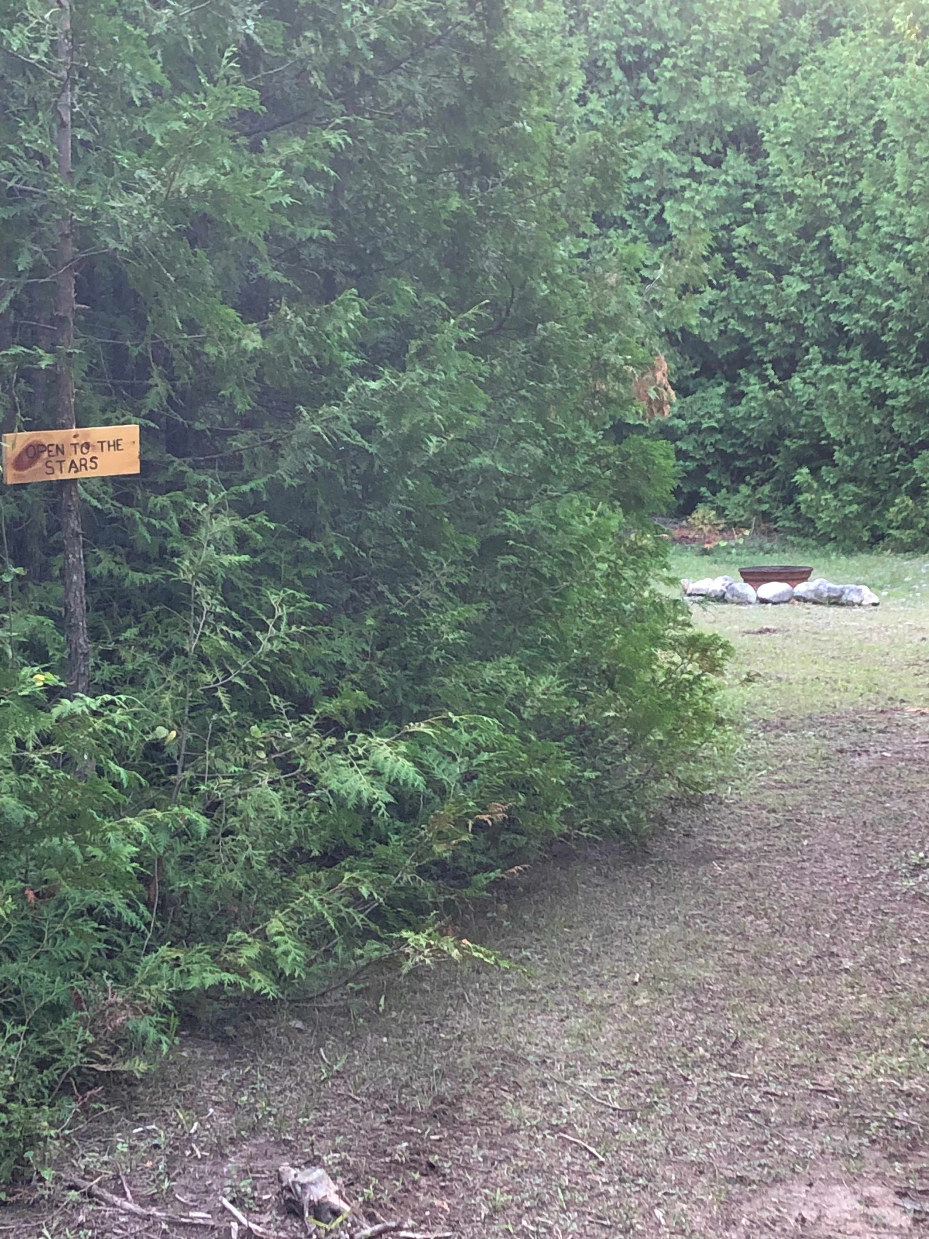 Picture of the site