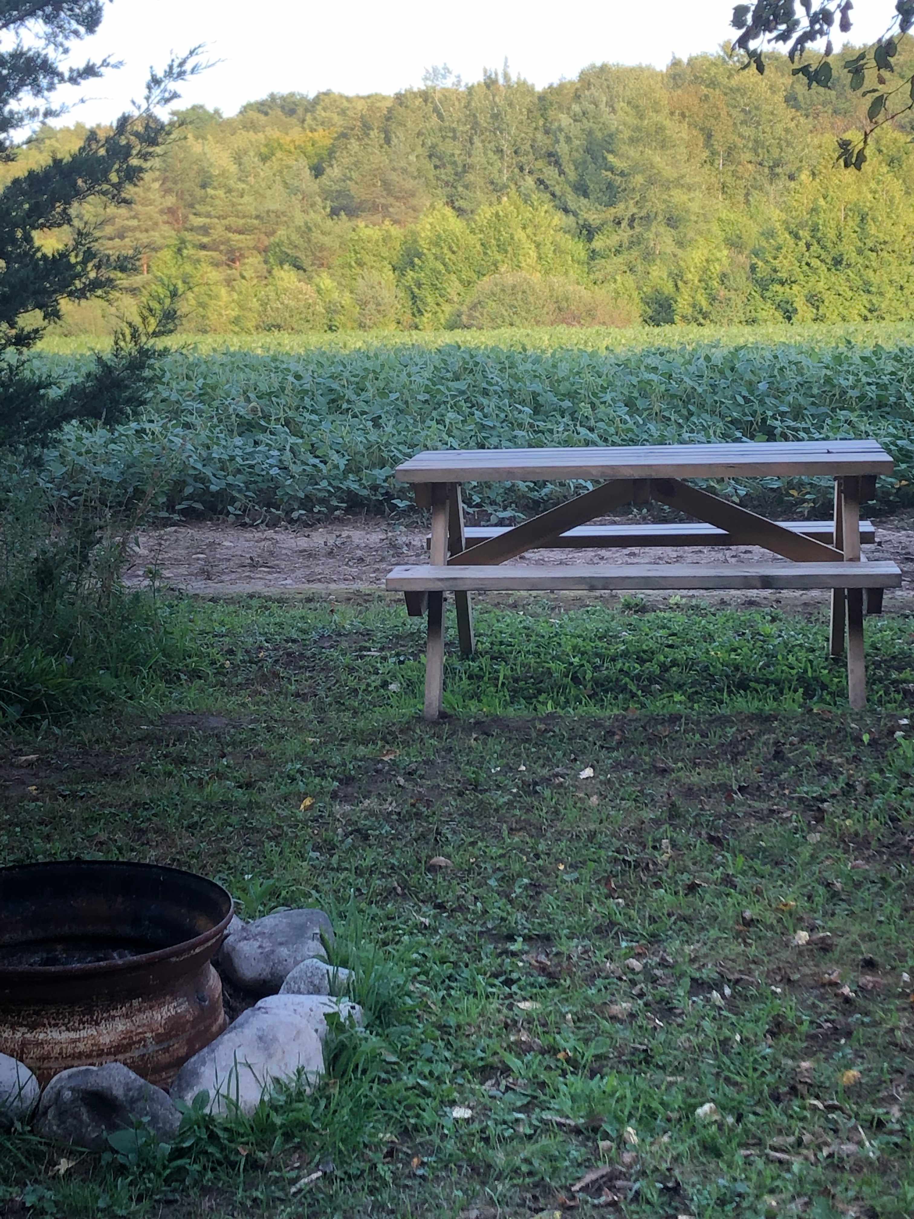 Picture of the site