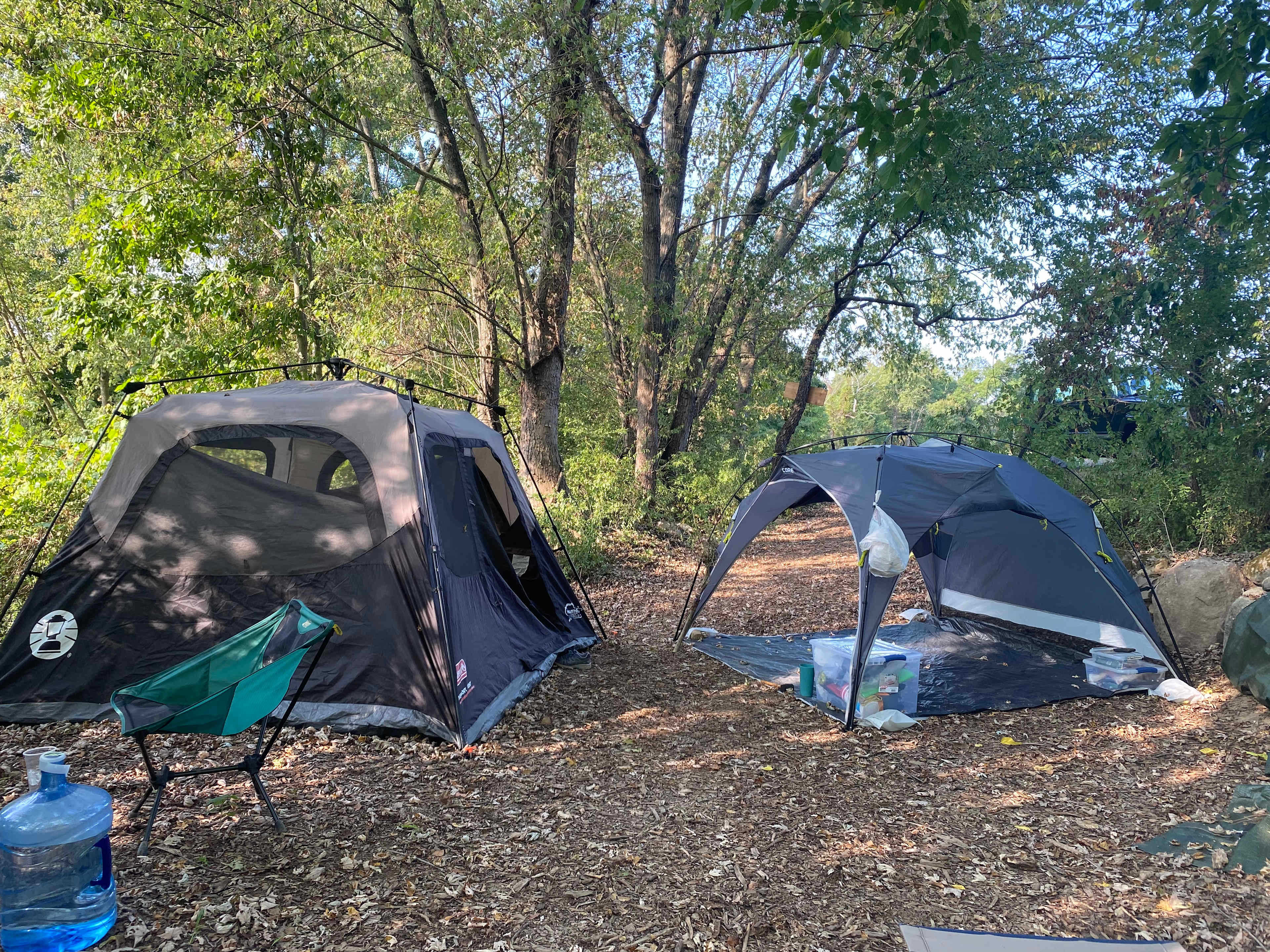 Picture of the site
