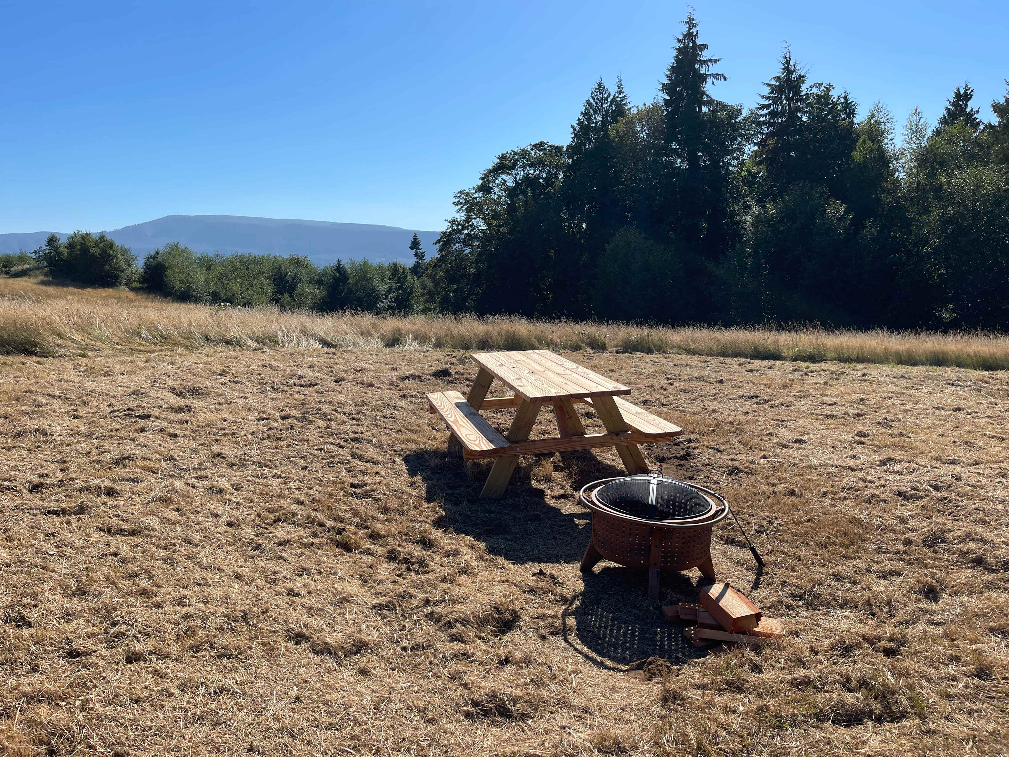 Picture of the site