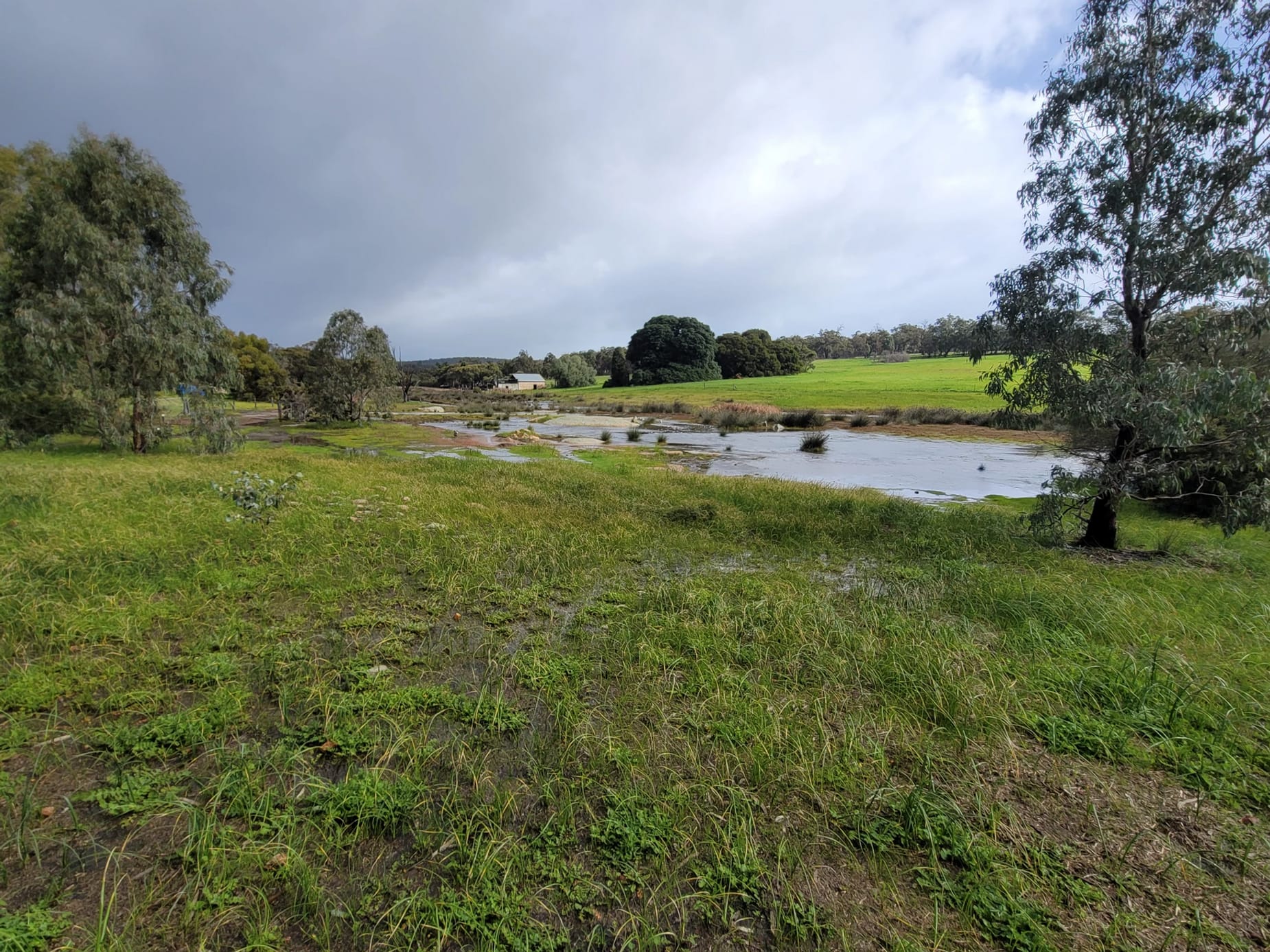 Summer Creek