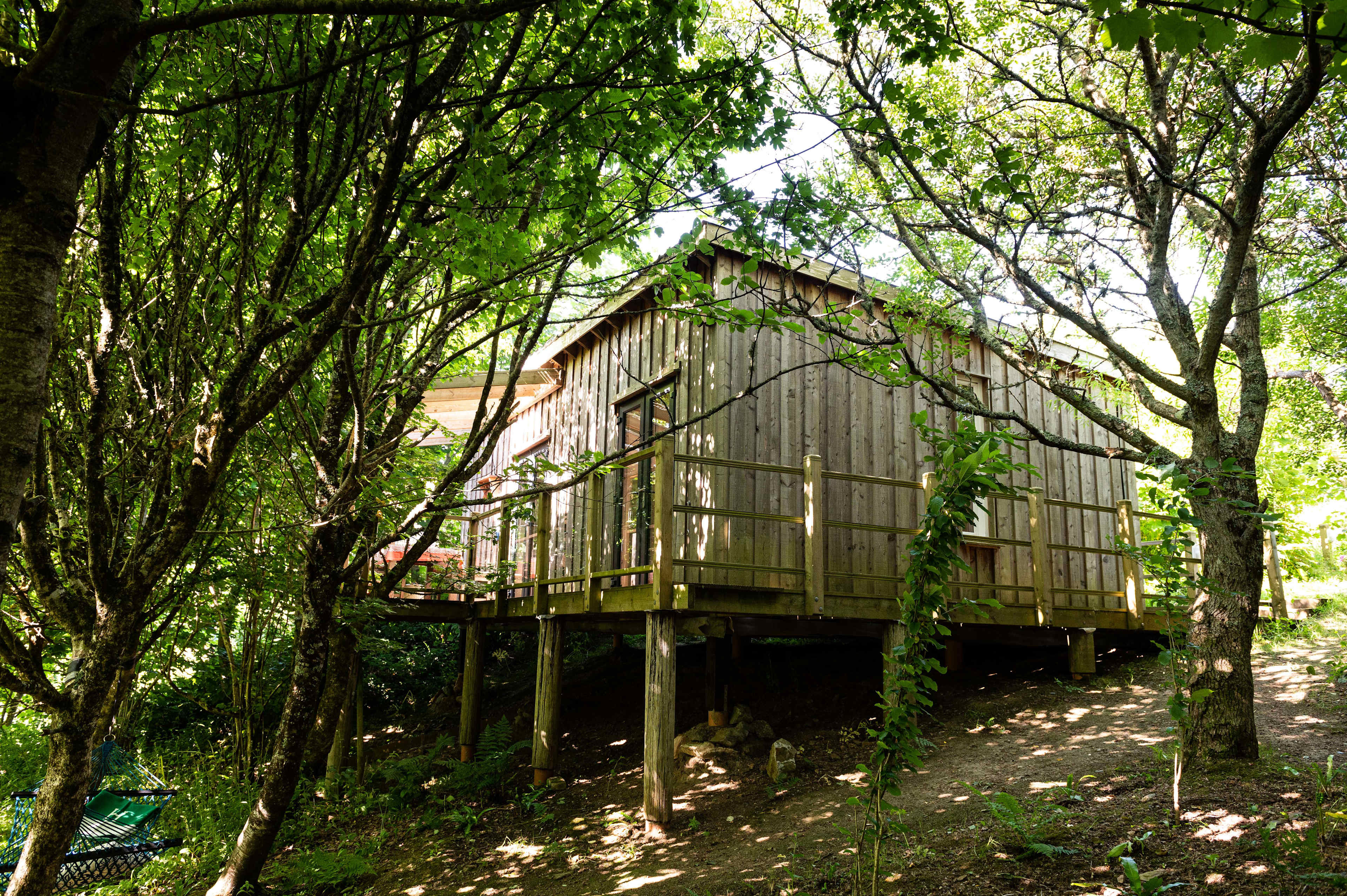 Treehouse in the woods