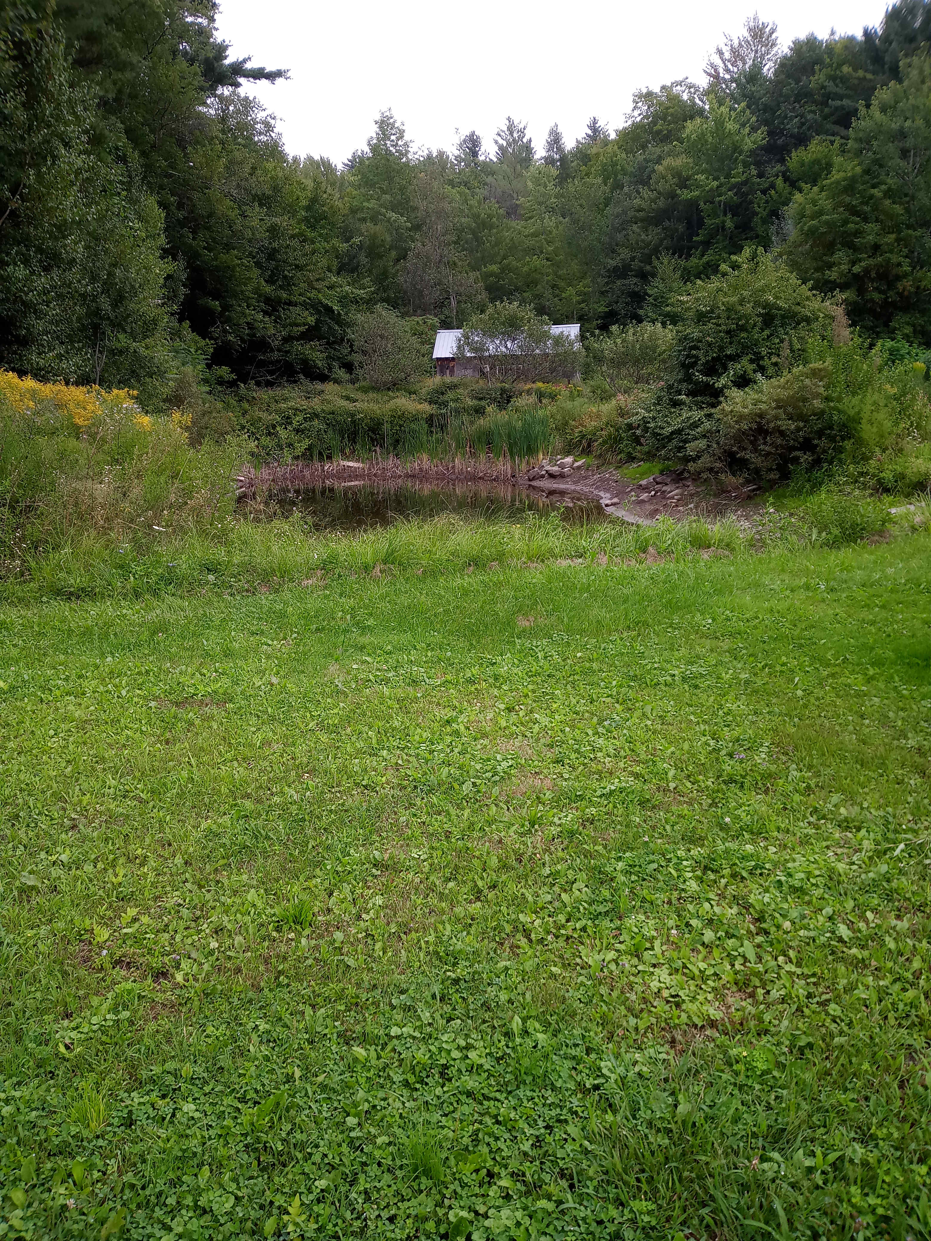 Meehan Mountains