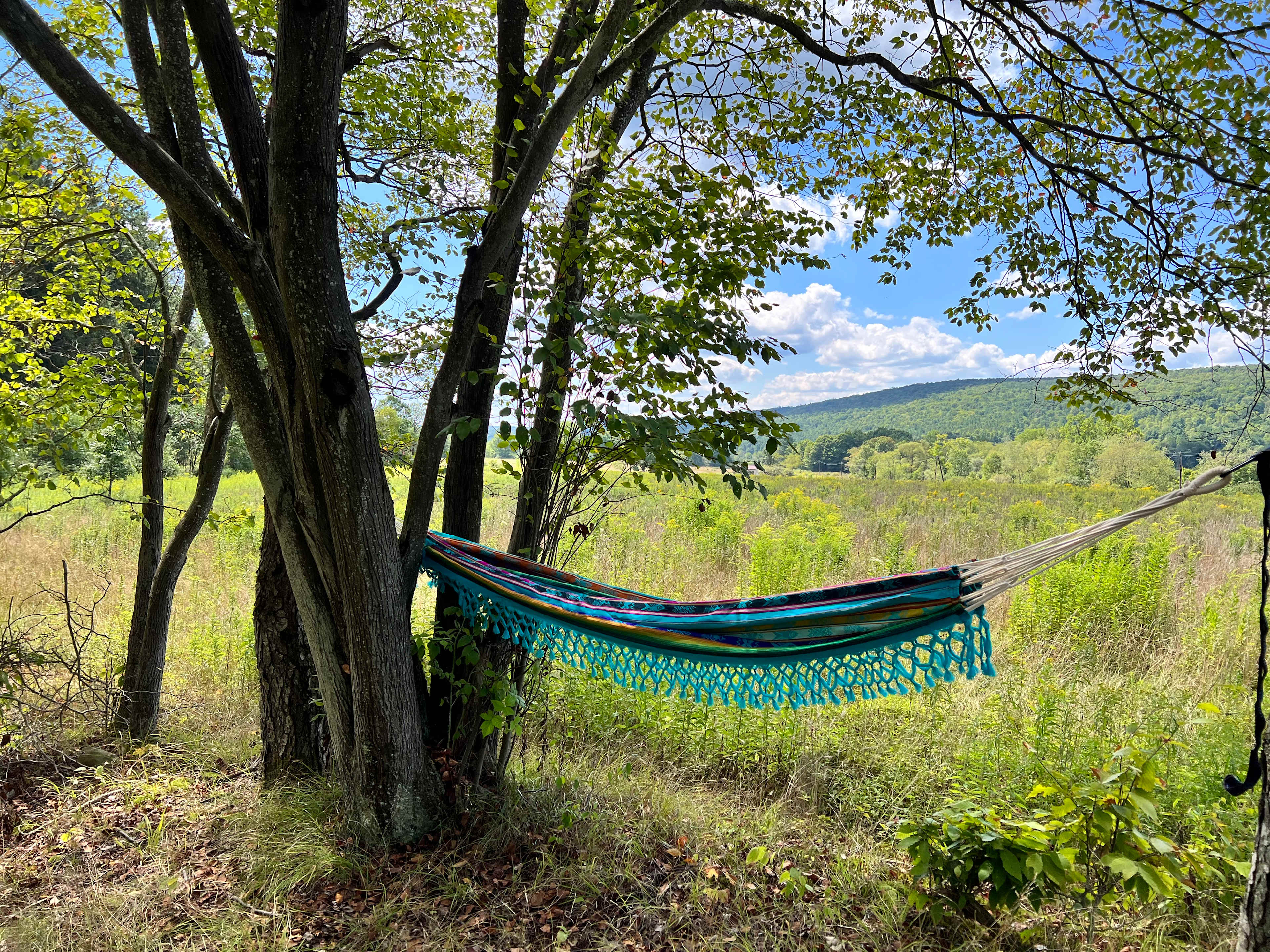 Nap time.