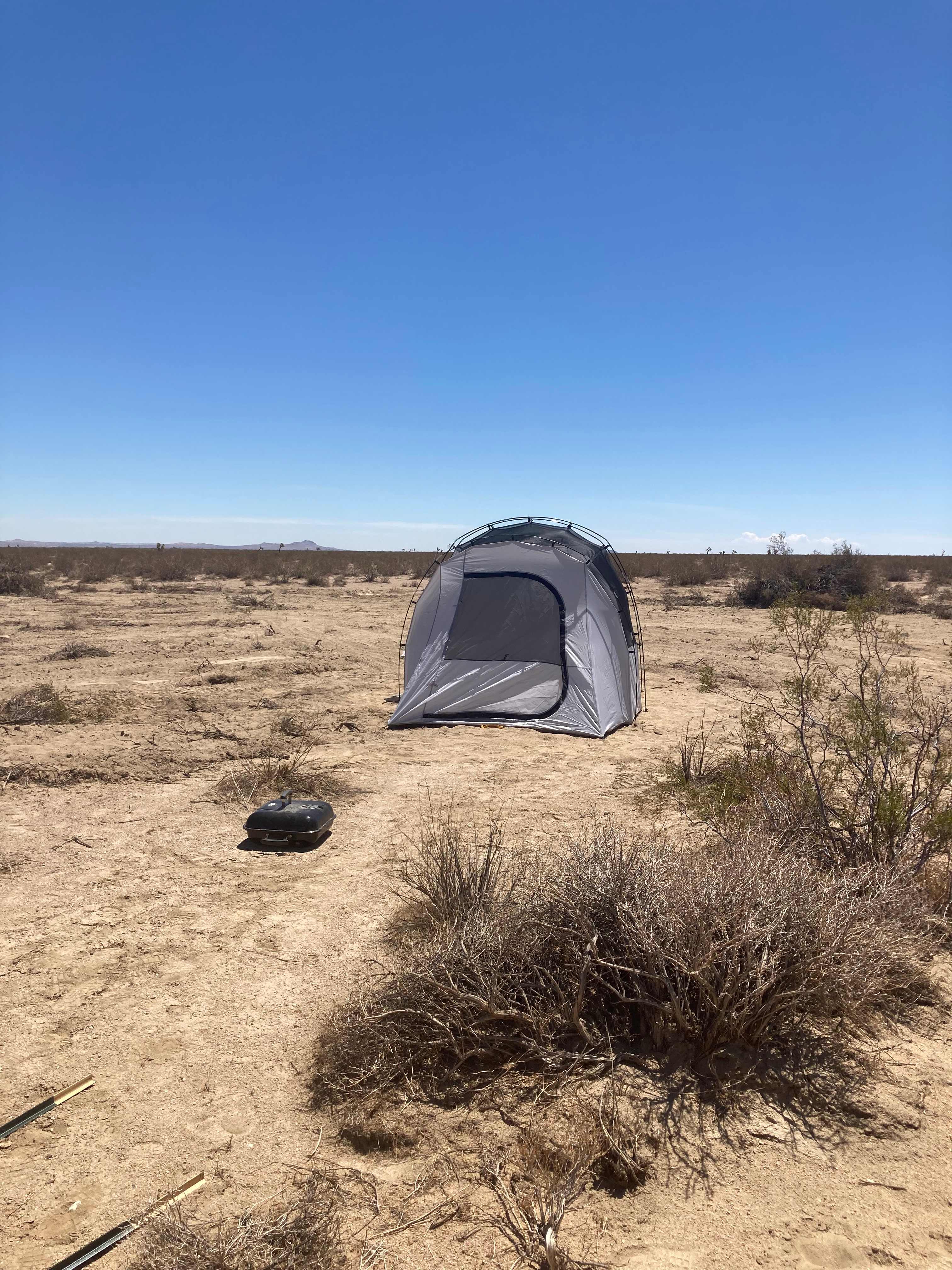 McKinney Family Desert Life