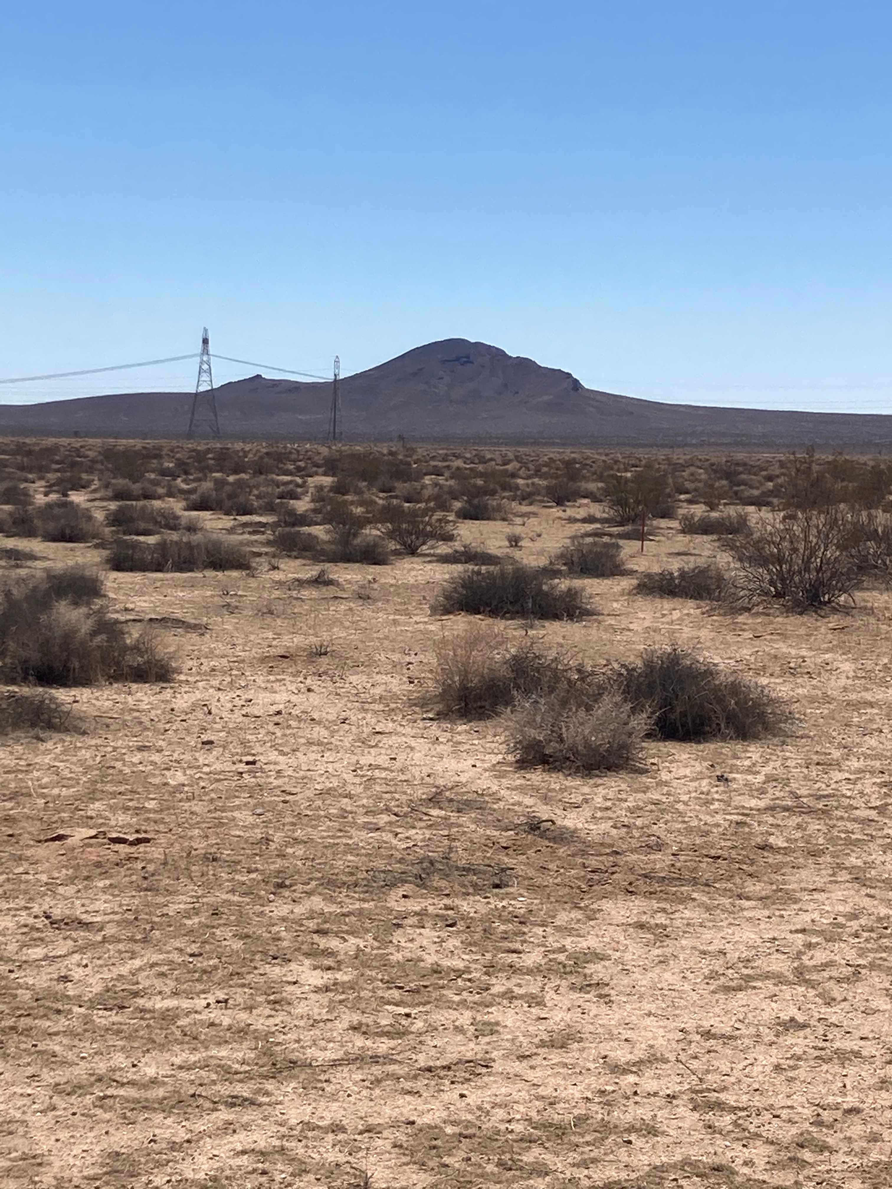 McKinney Family Desert Life