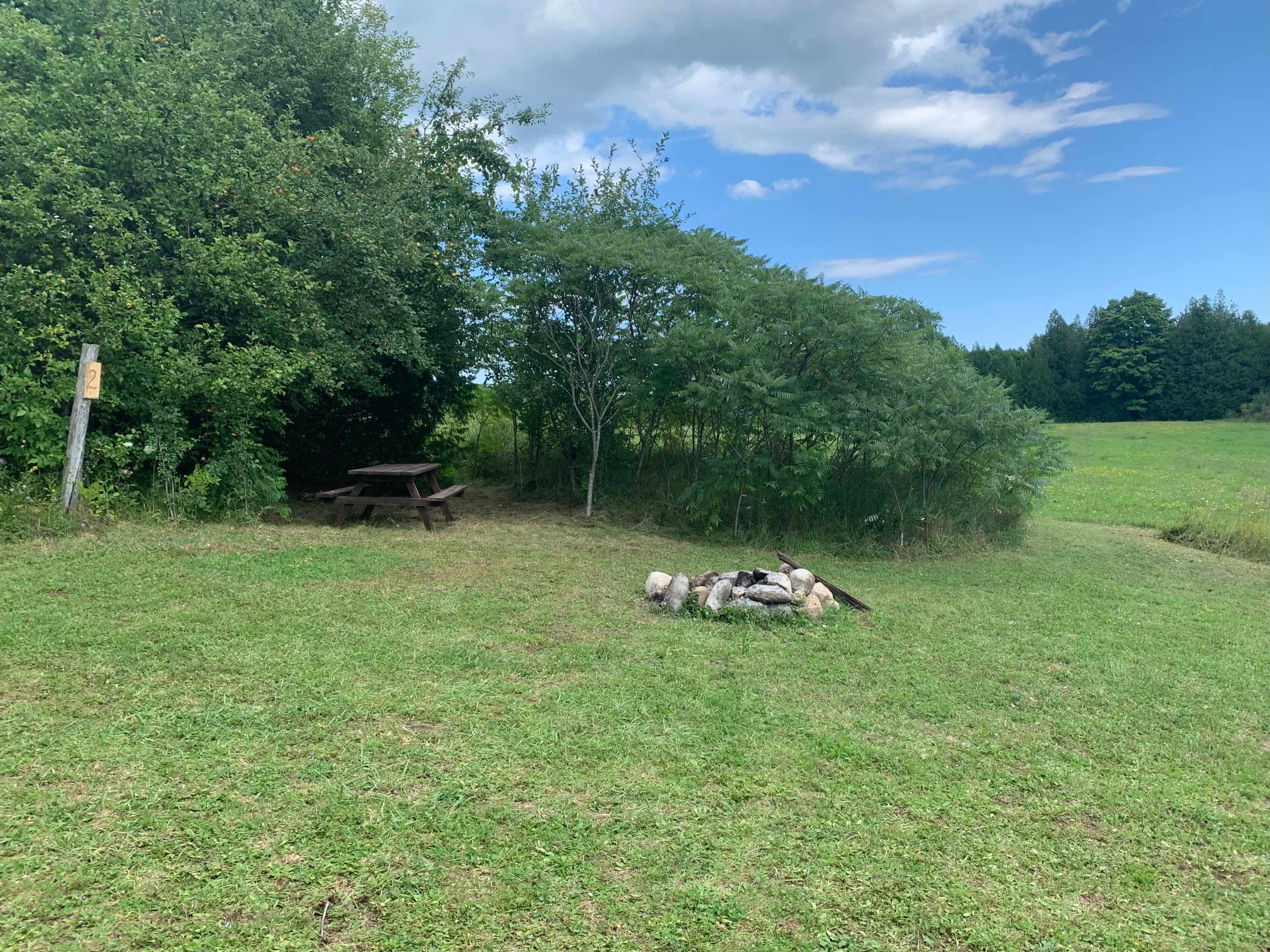 Picture of the site