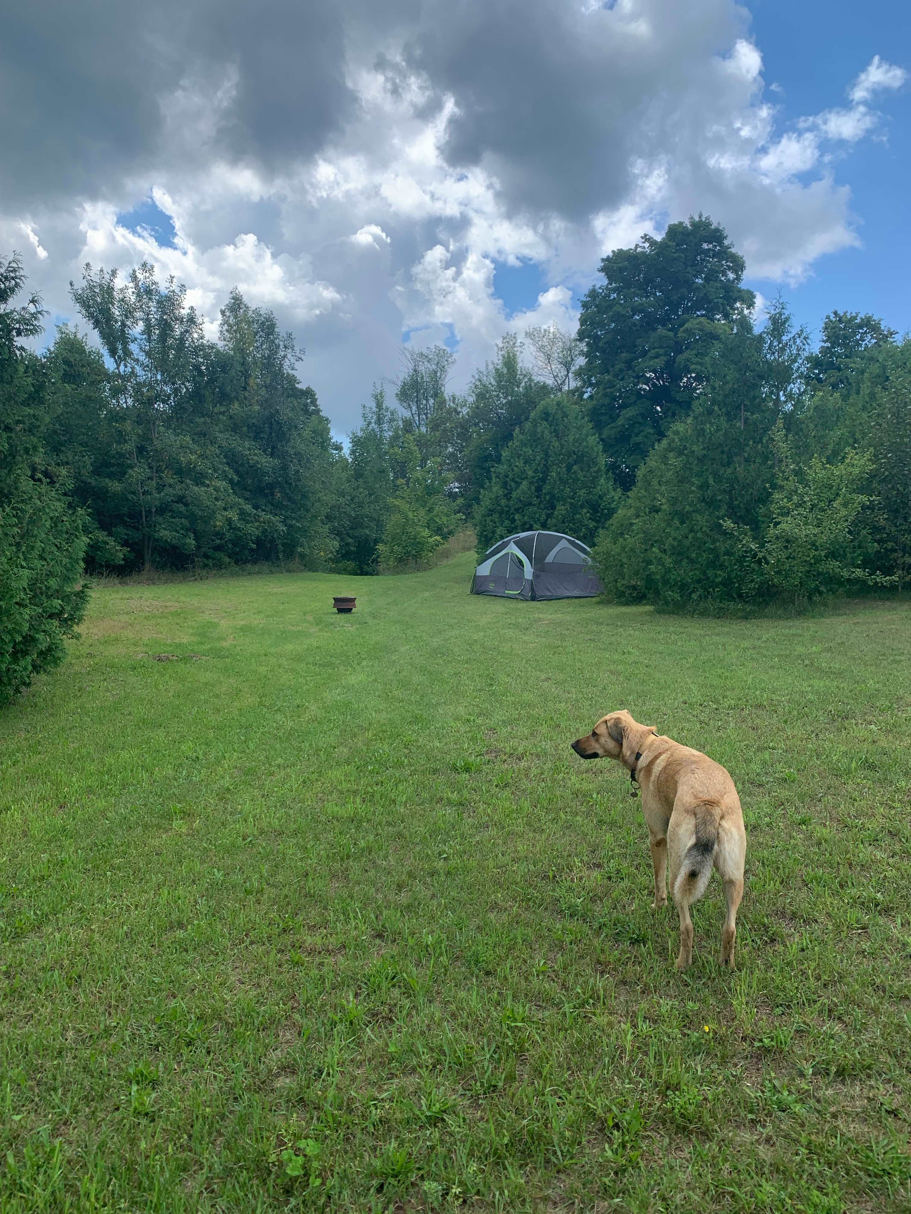 Picture of the site