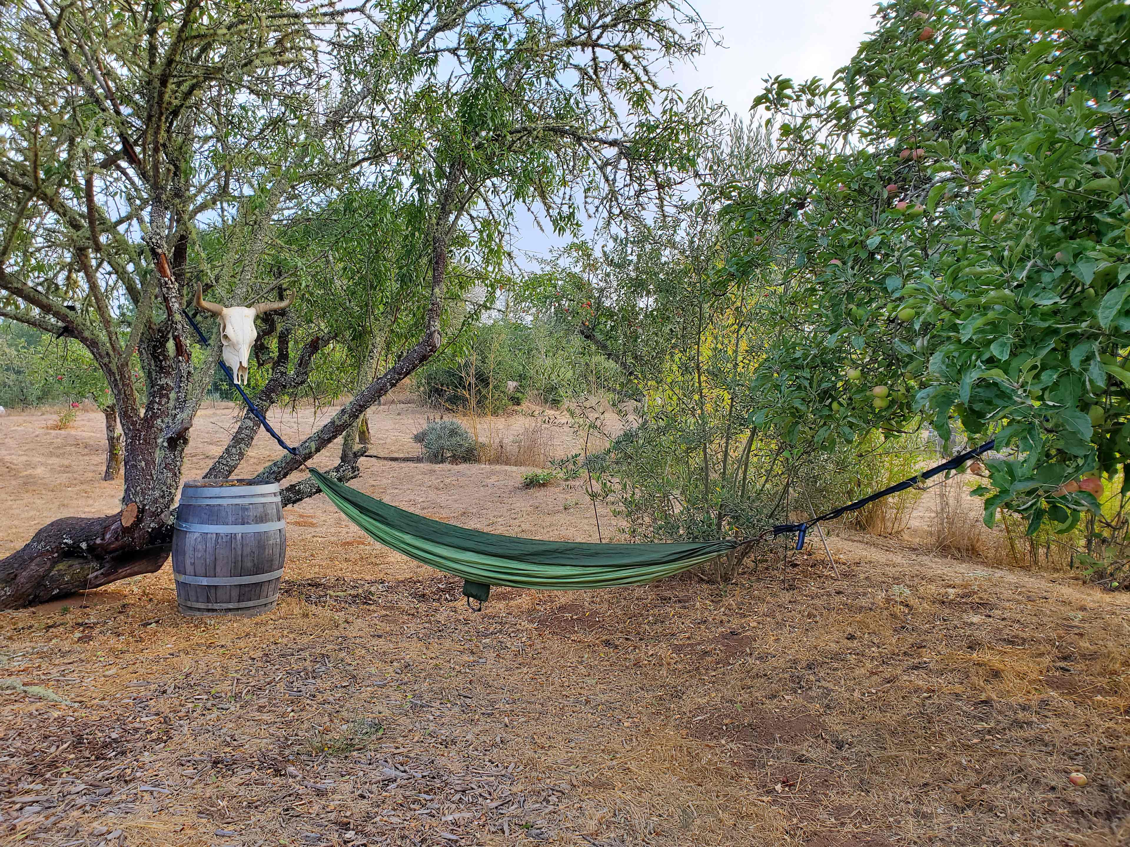 Rancho Laslendini