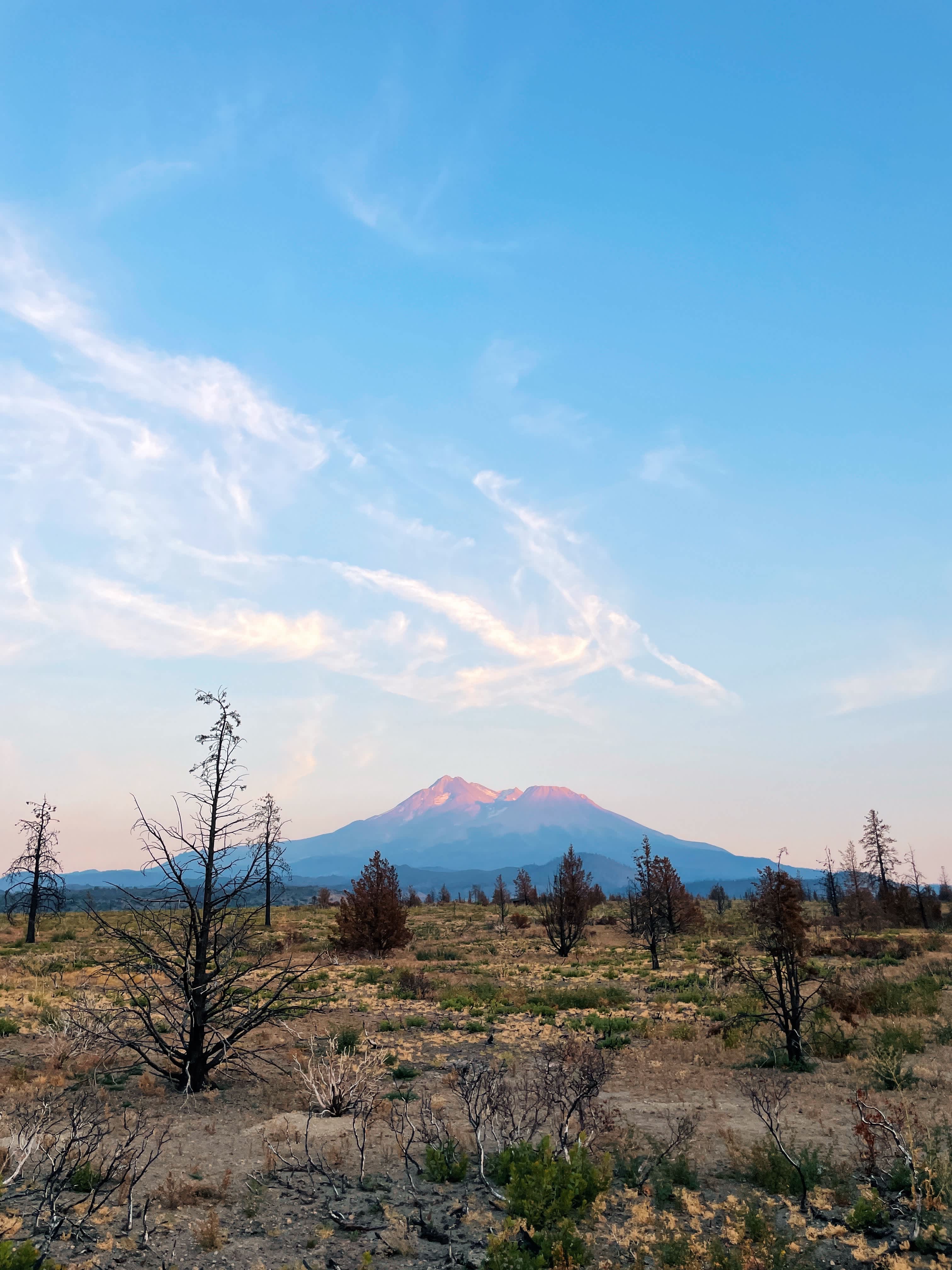 Juniper Valley Campsites
